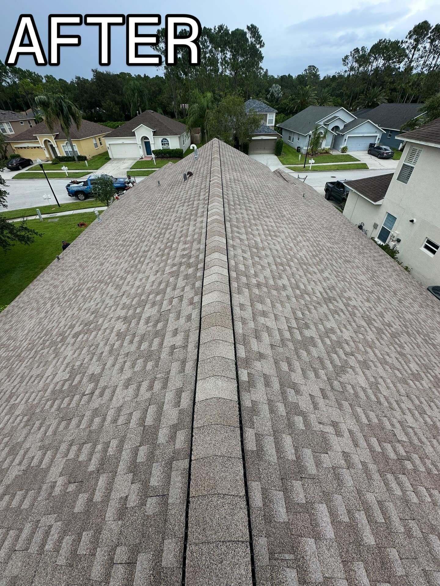  for Storm Strong Roofing in Tampa, FL
