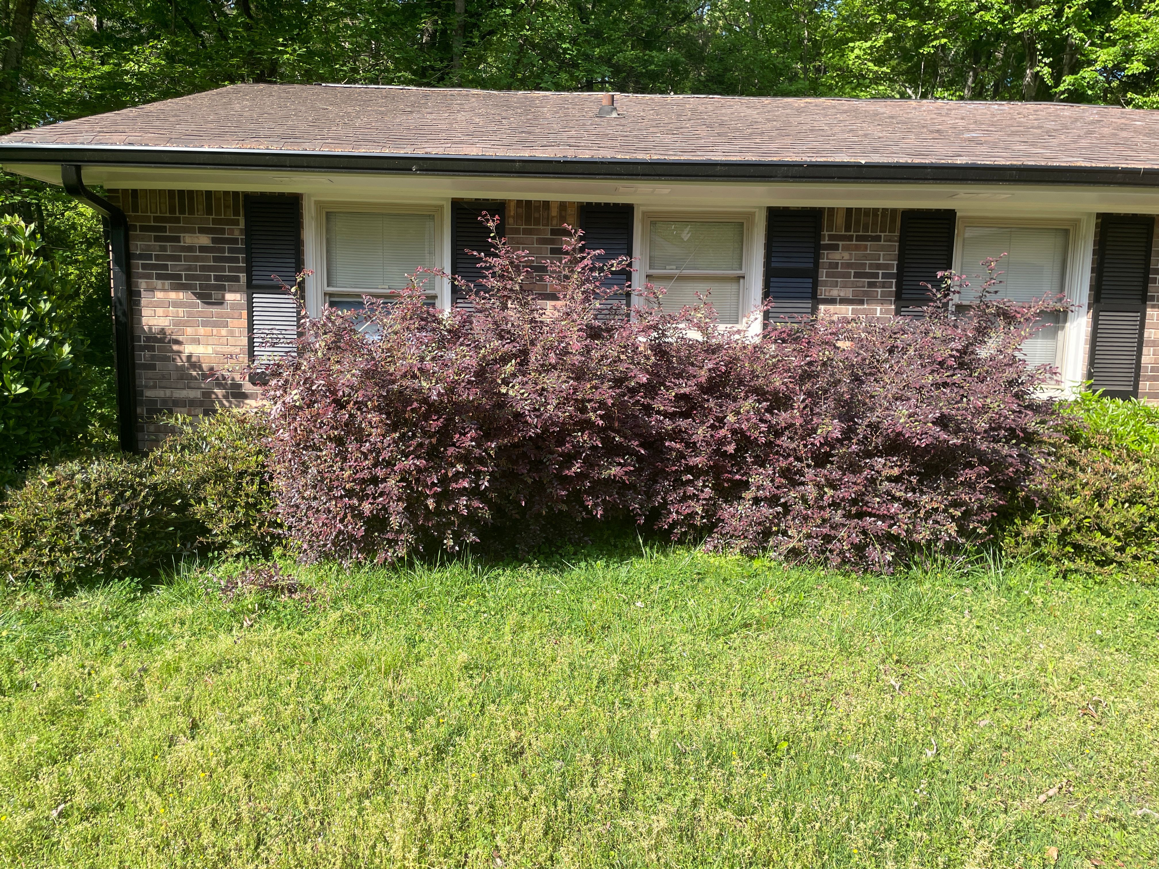  for Clark's Cuts Lawn Care in Lilburn, GA