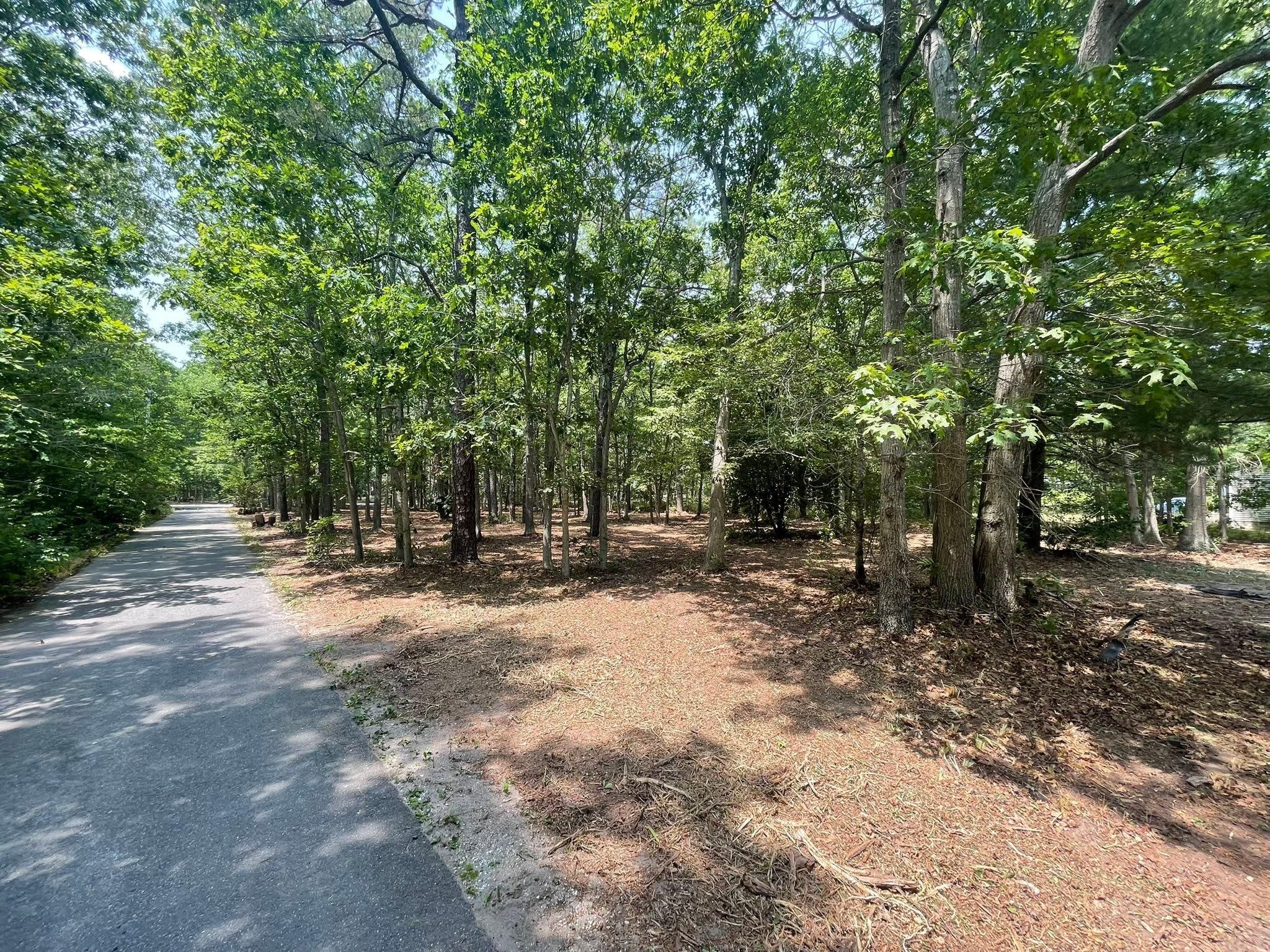 All Photos for GT Lawn Care in Egg Harbor Township, NJ