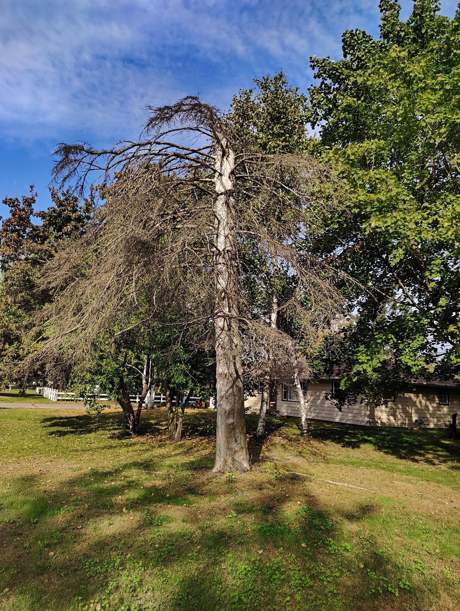 All Photos for Big River lawn Care services and snow LLC in Wausau, WI