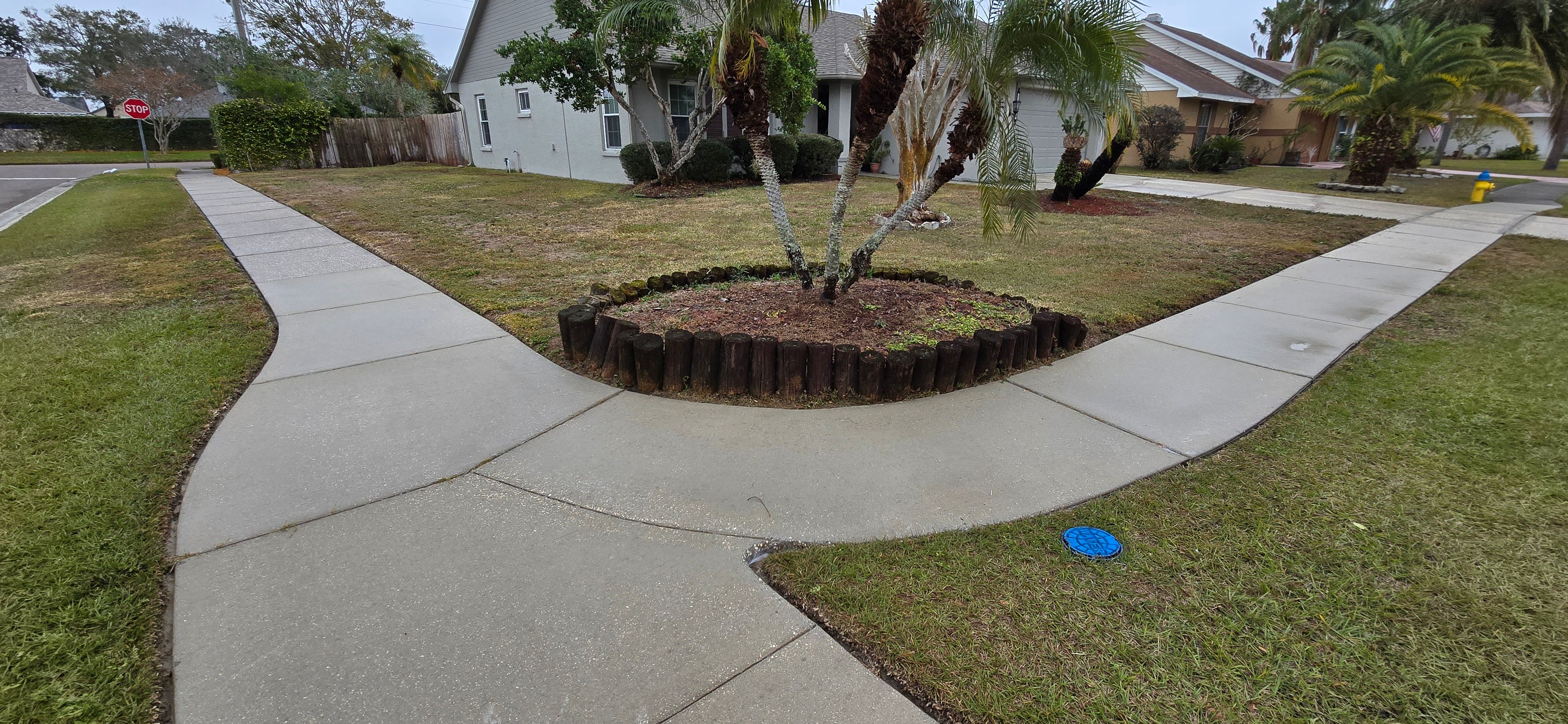  for Blue Stream Roof Cleaning & Pressure Washing in Tampa, FL