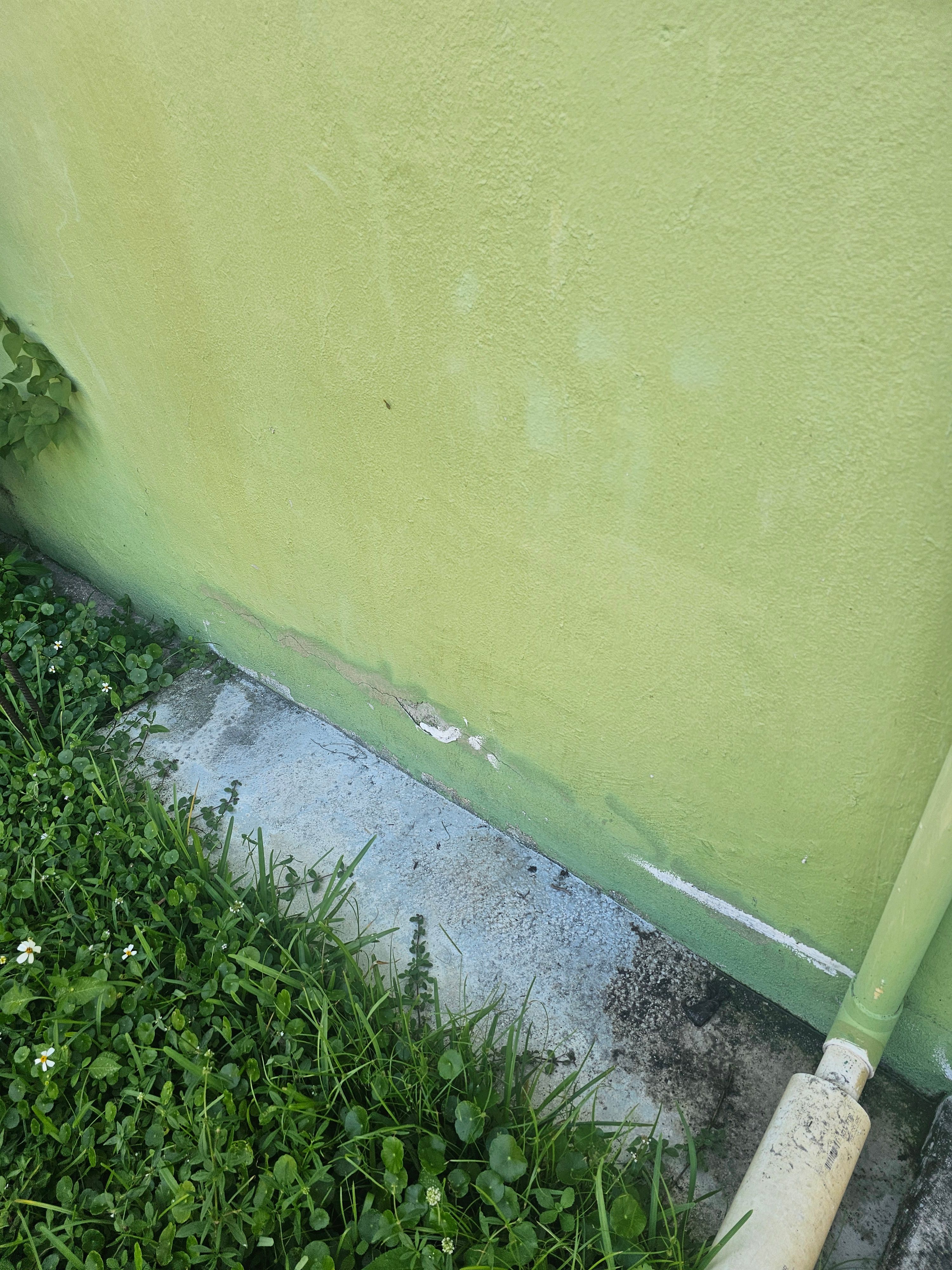  for Swaby's Handyman Services LLC in Florida City, FL