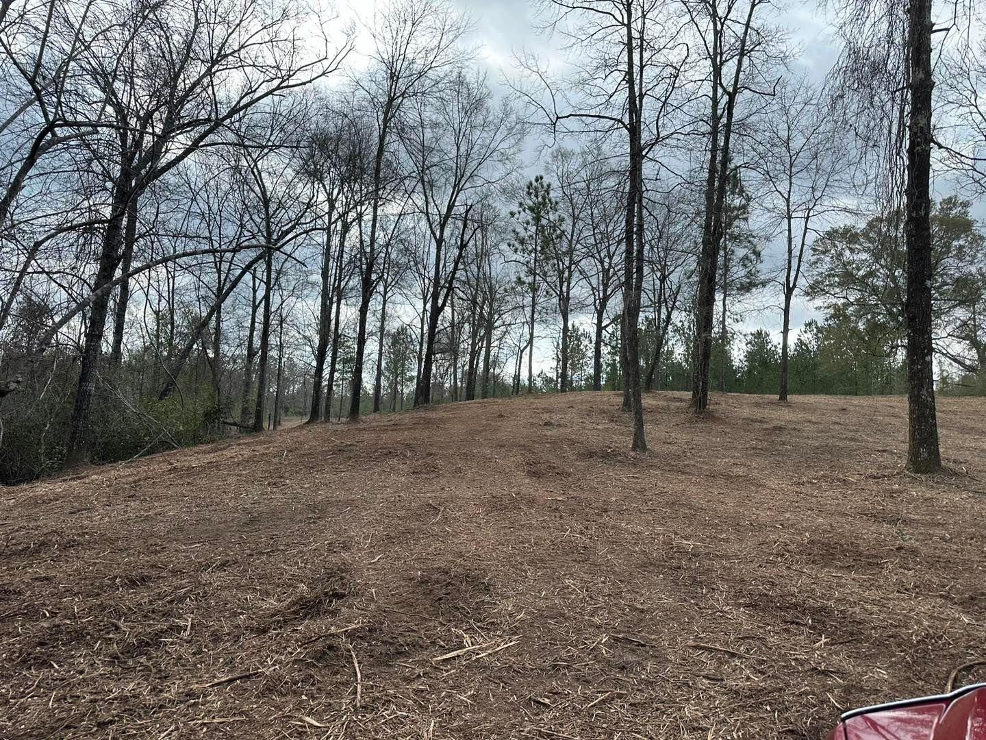 All Photos for White’s Land Maintenance in Milton,, FL