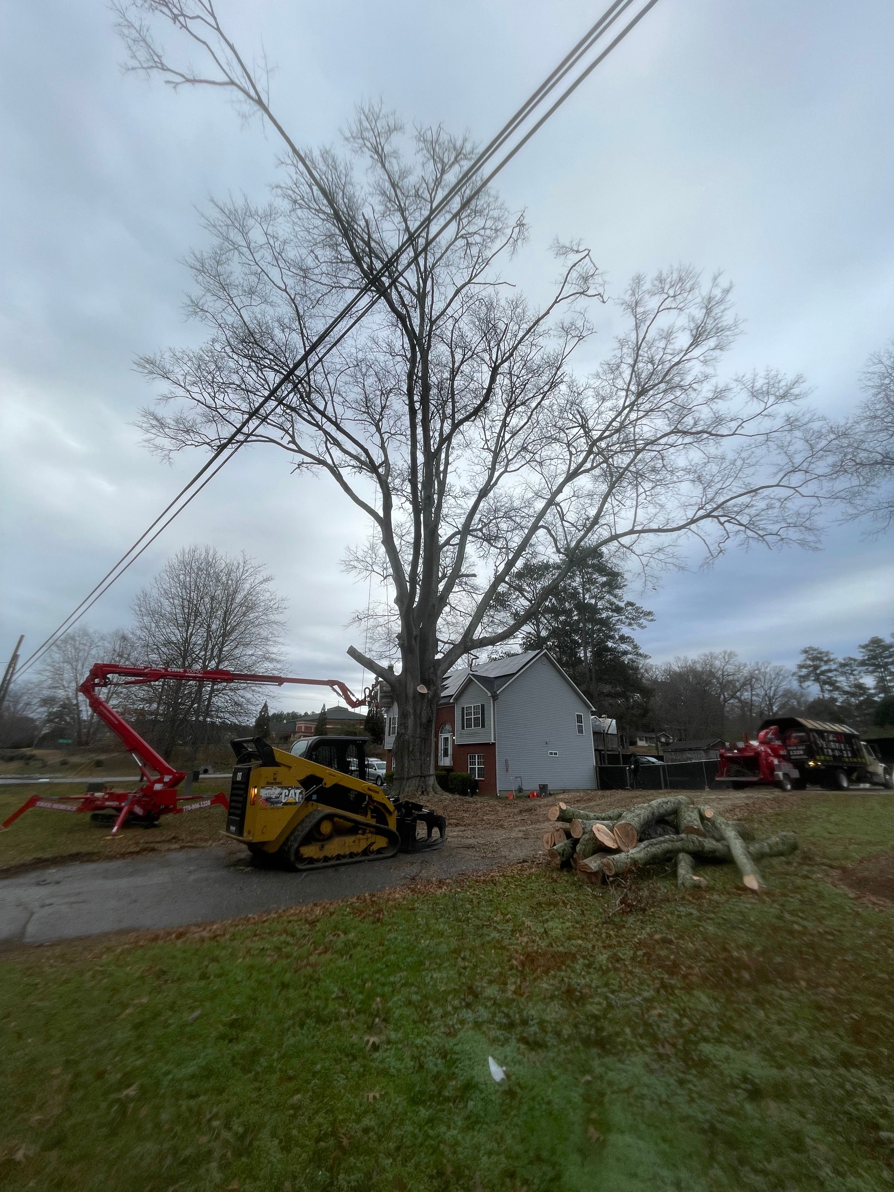  for Falcon stump grinding Tree services in Snellville, GA