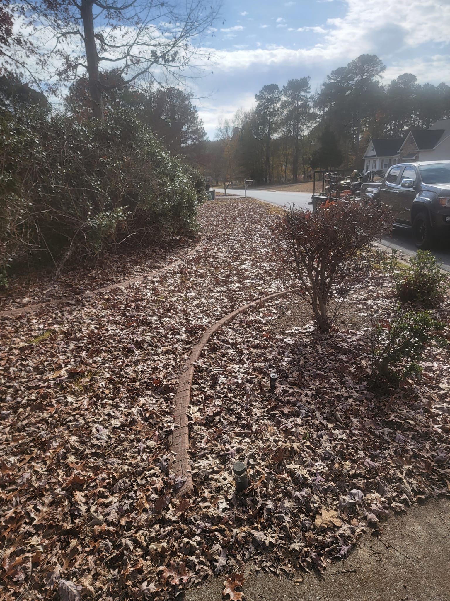  for Fantastic Lawn Care in Fayetteville, GA