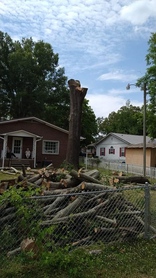  for Scott's Tree Service in Athens, TN