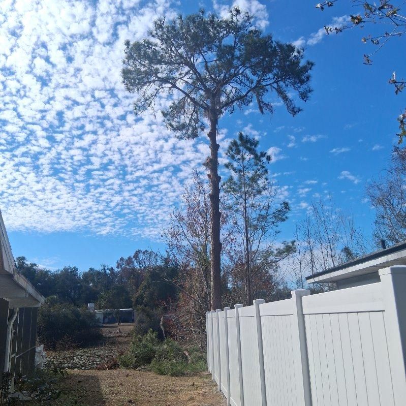  for Perfect Cut Lawn & Tree Care in Citrus County, FL