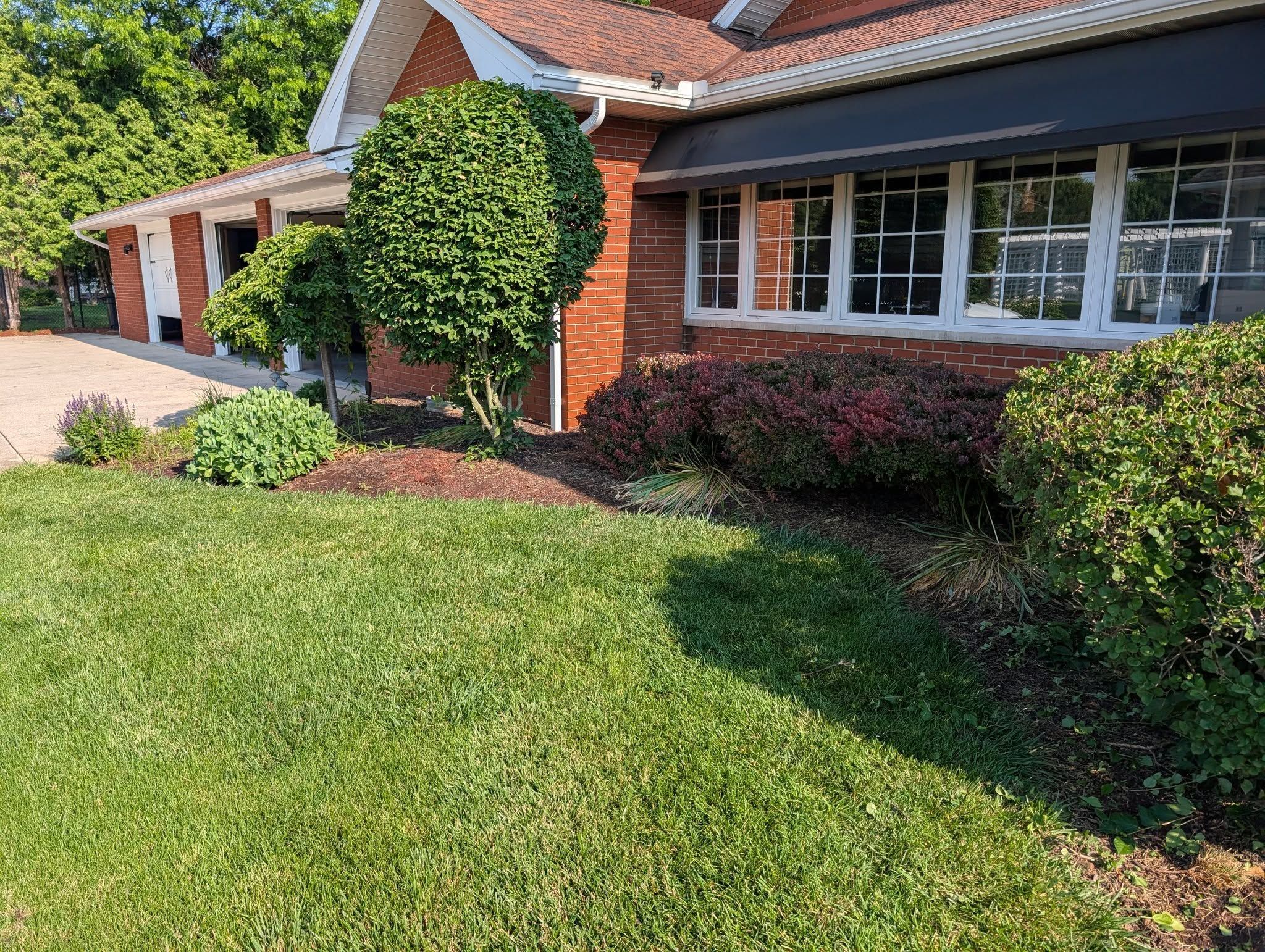 for Knapps Landscaping and Lawn Care in Marion, OH