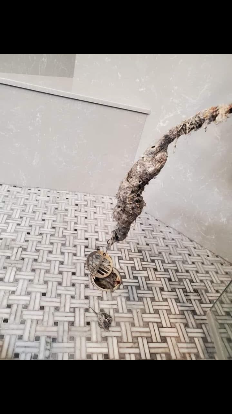  for 24/7 Rooter & Drain Cleaning in Stockton, CA