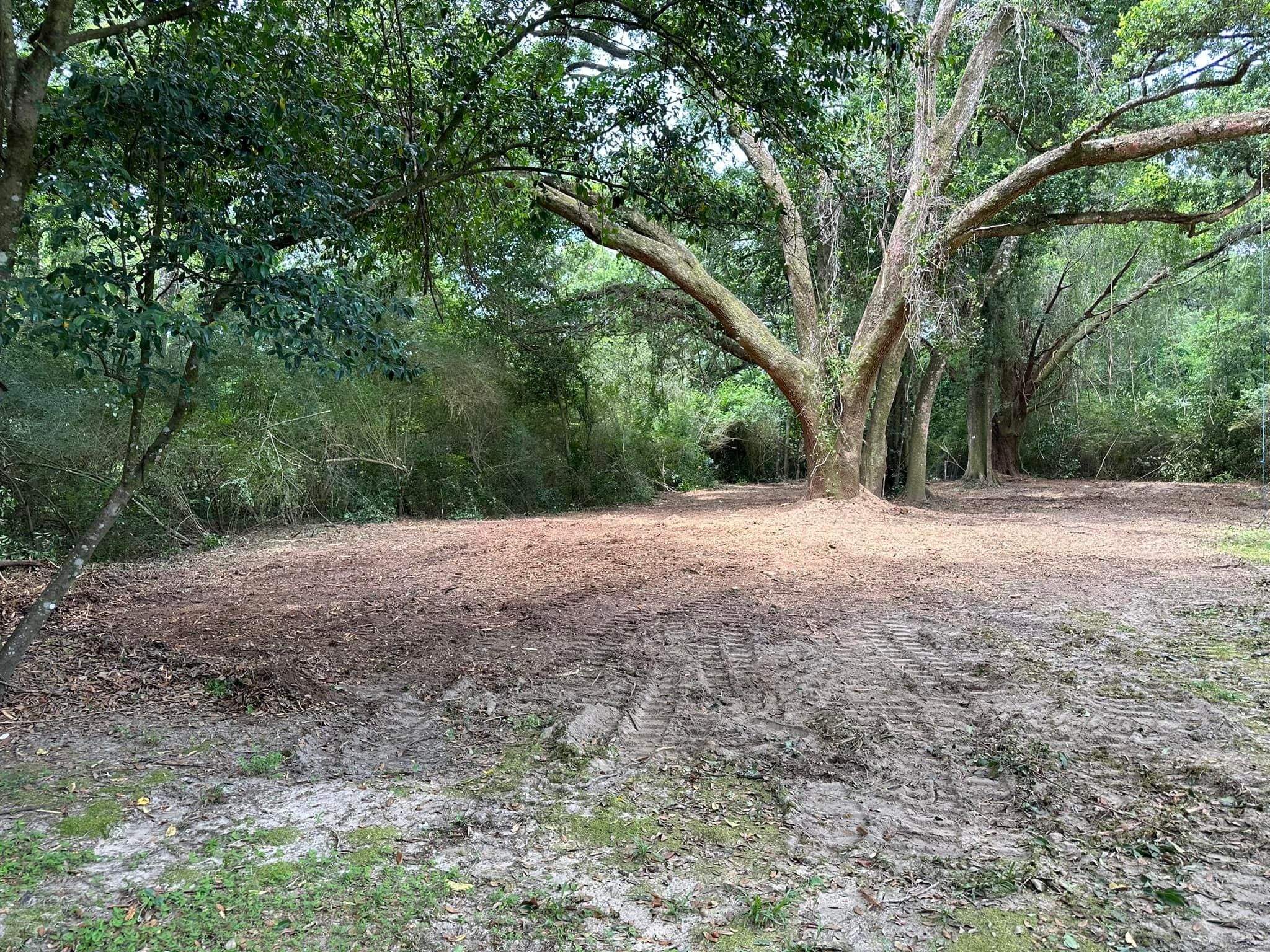 All Photos for White’s Land Maintenance in Milton,, FL