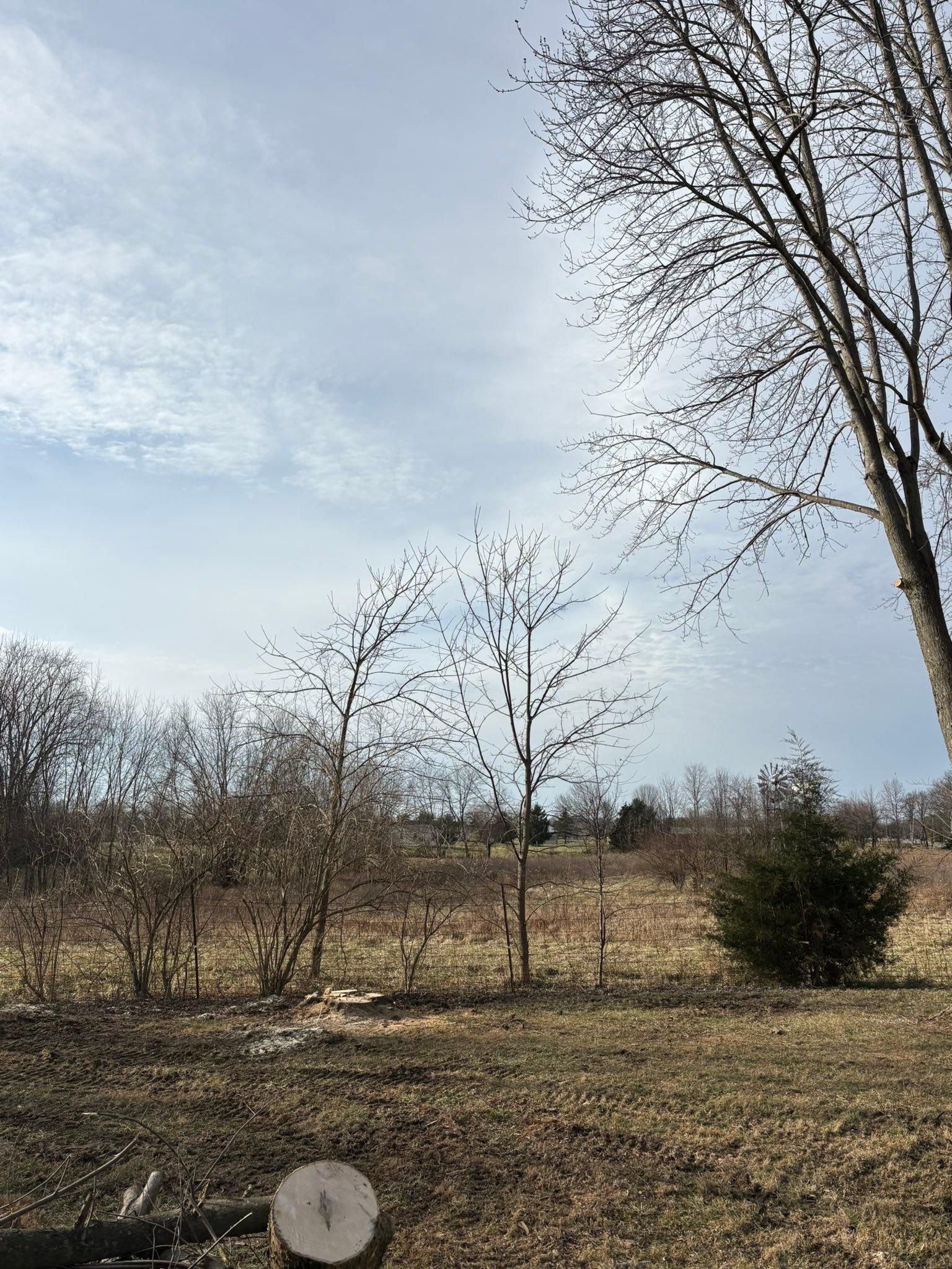  for Dig-It Tree Company in Mason, OH