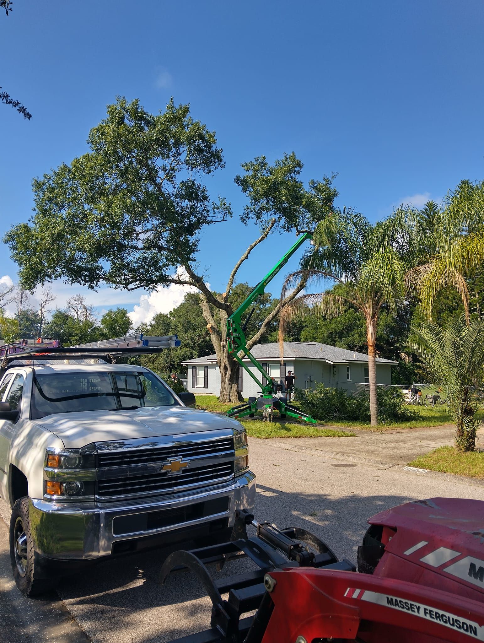  for Bills Tree Service in Valrico, FL