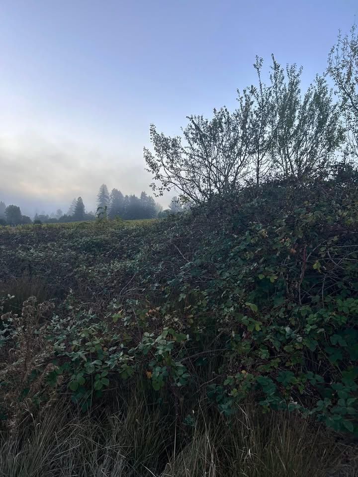  for J. Orozco & Sons Ent in Philo, CA