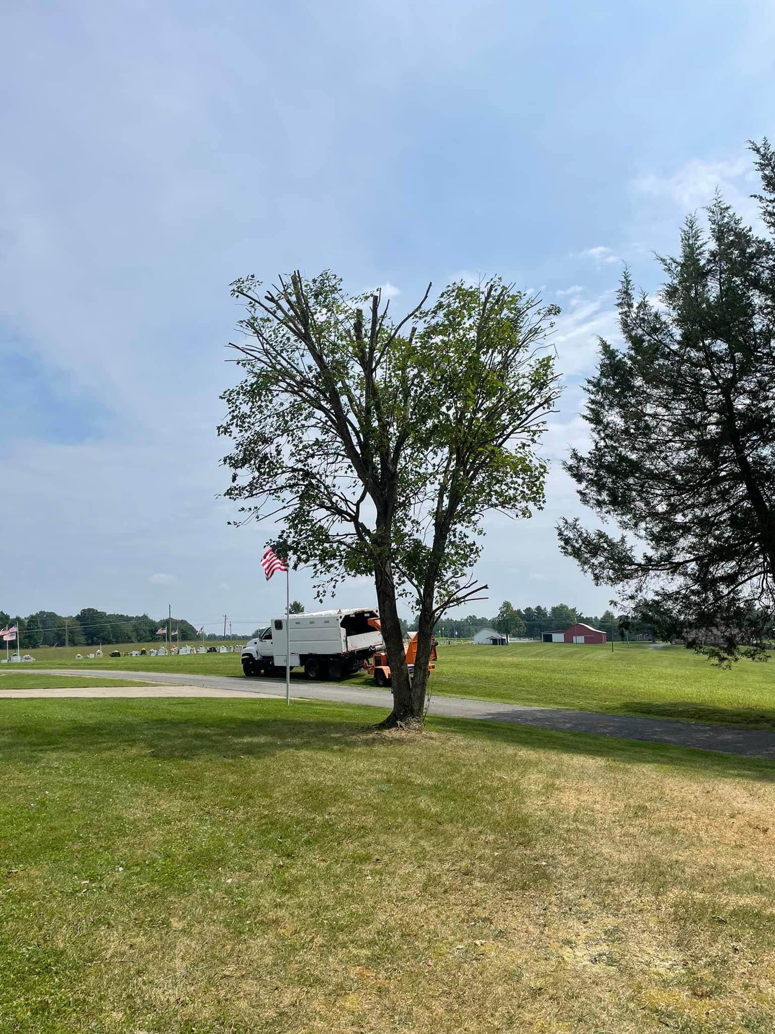 Fall and Spring Clean Up for Atwood’s Tree Care in Liberty,  KY