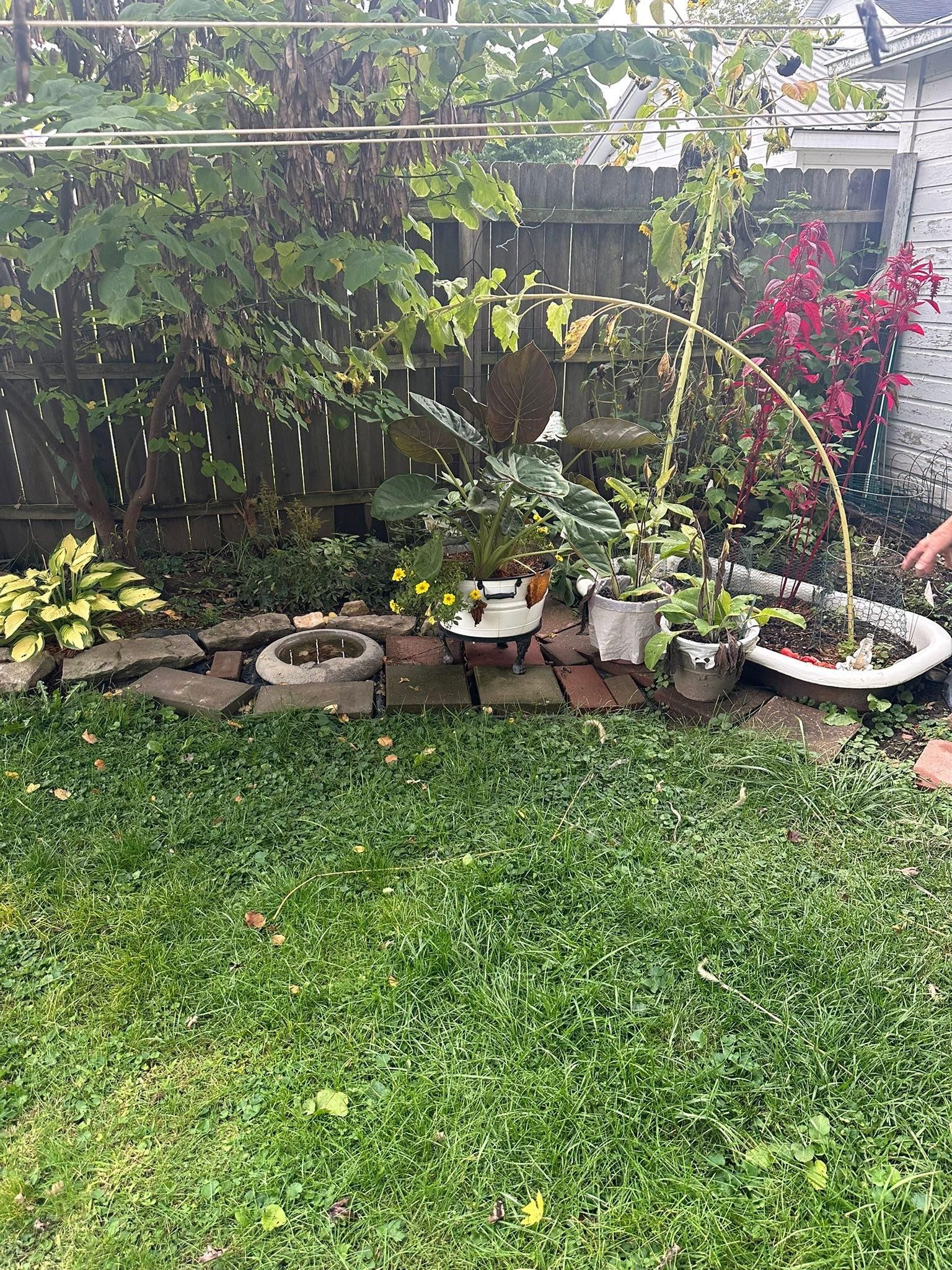  for OT Lawn and Landscaping LLC in Carey, OH