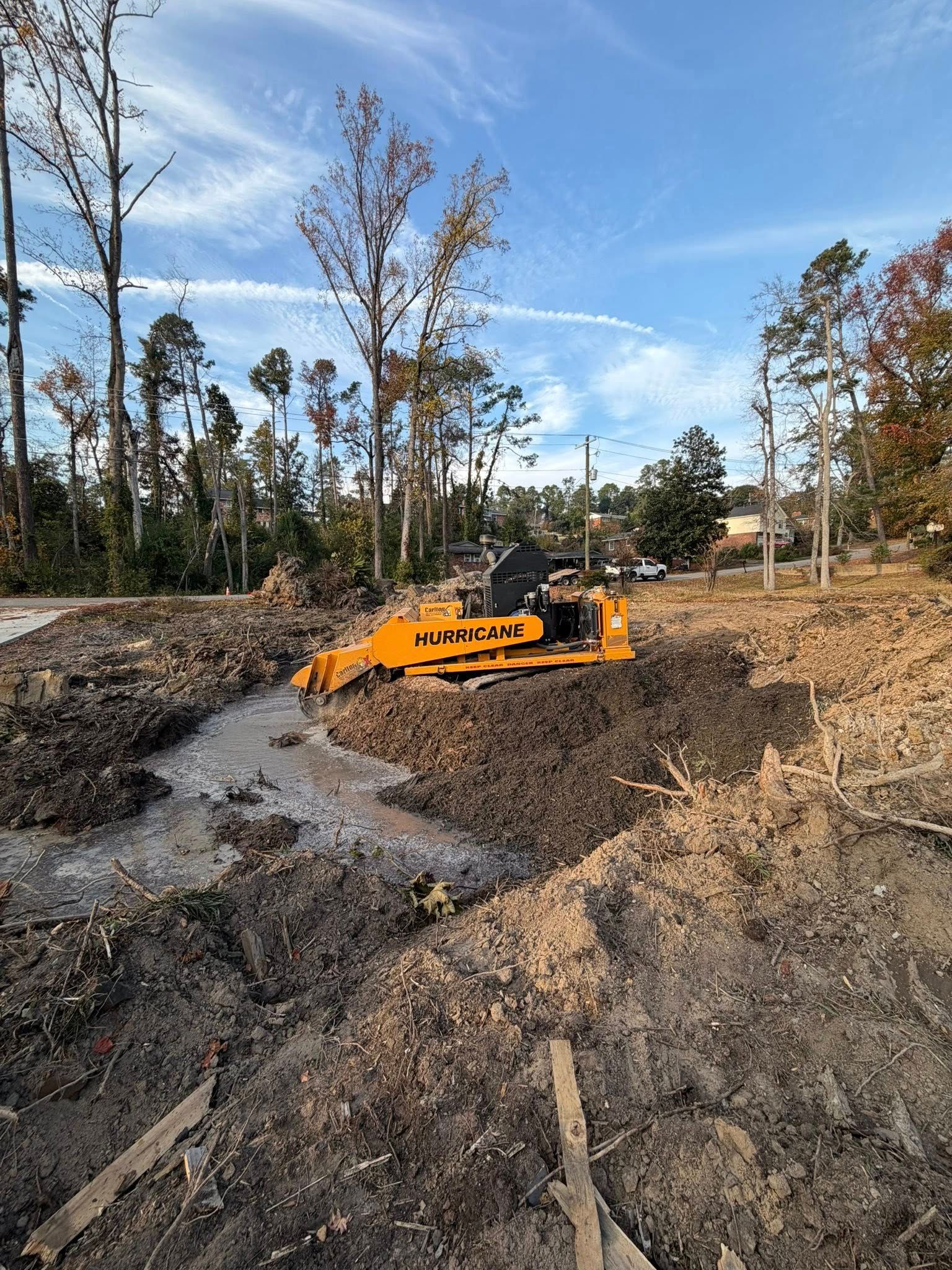  for Dozier Stump Grinding in Augusta, GA