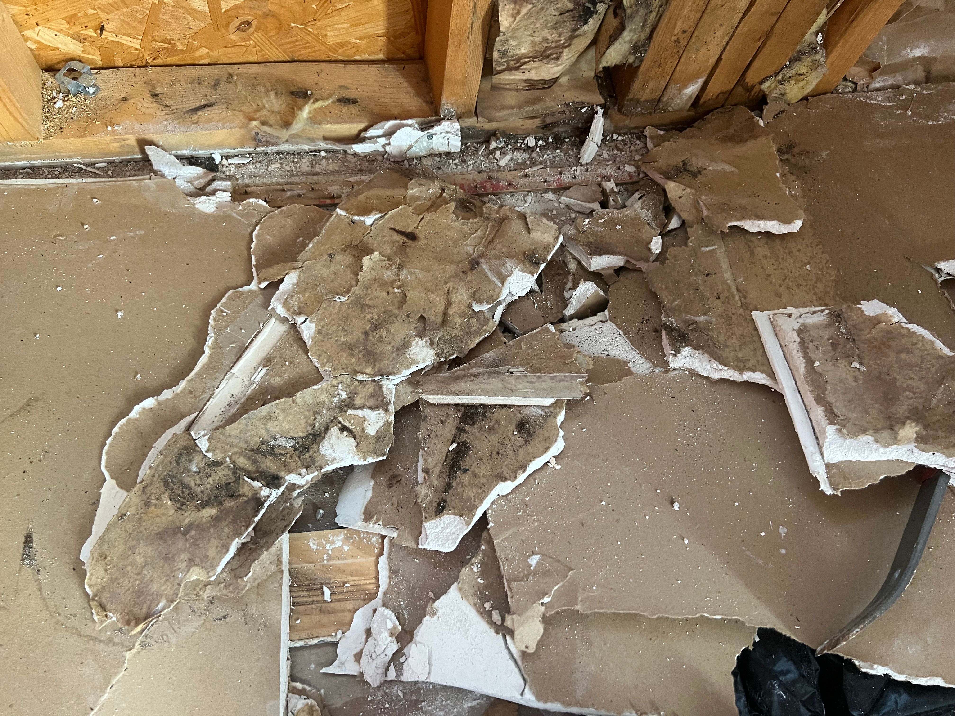  for N&D Restoration Services When Disaster Strikes, We Come In in Cape Coral,  FL