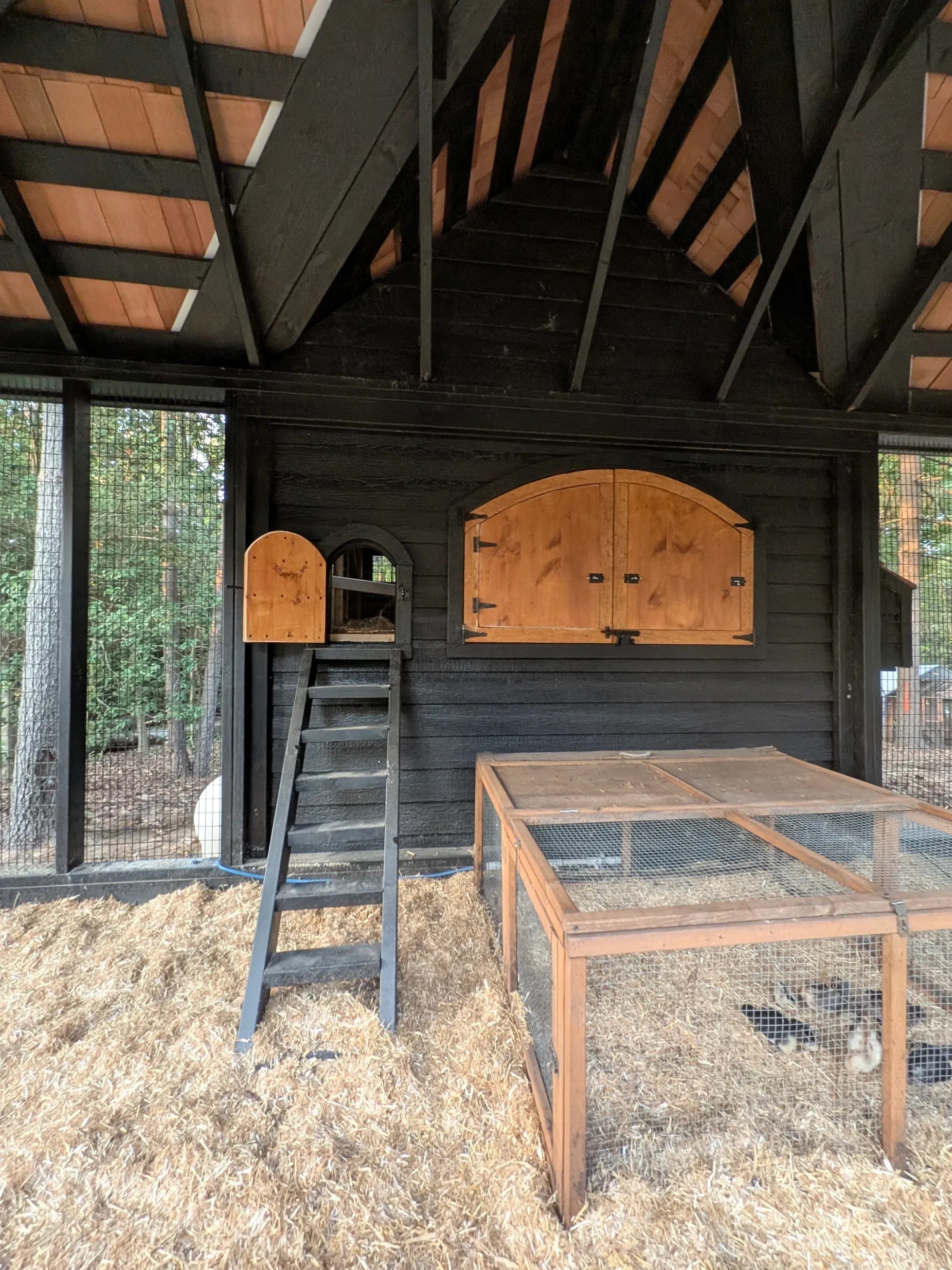 All Photos for Pond View Mini Structures in  Strasburg, PA