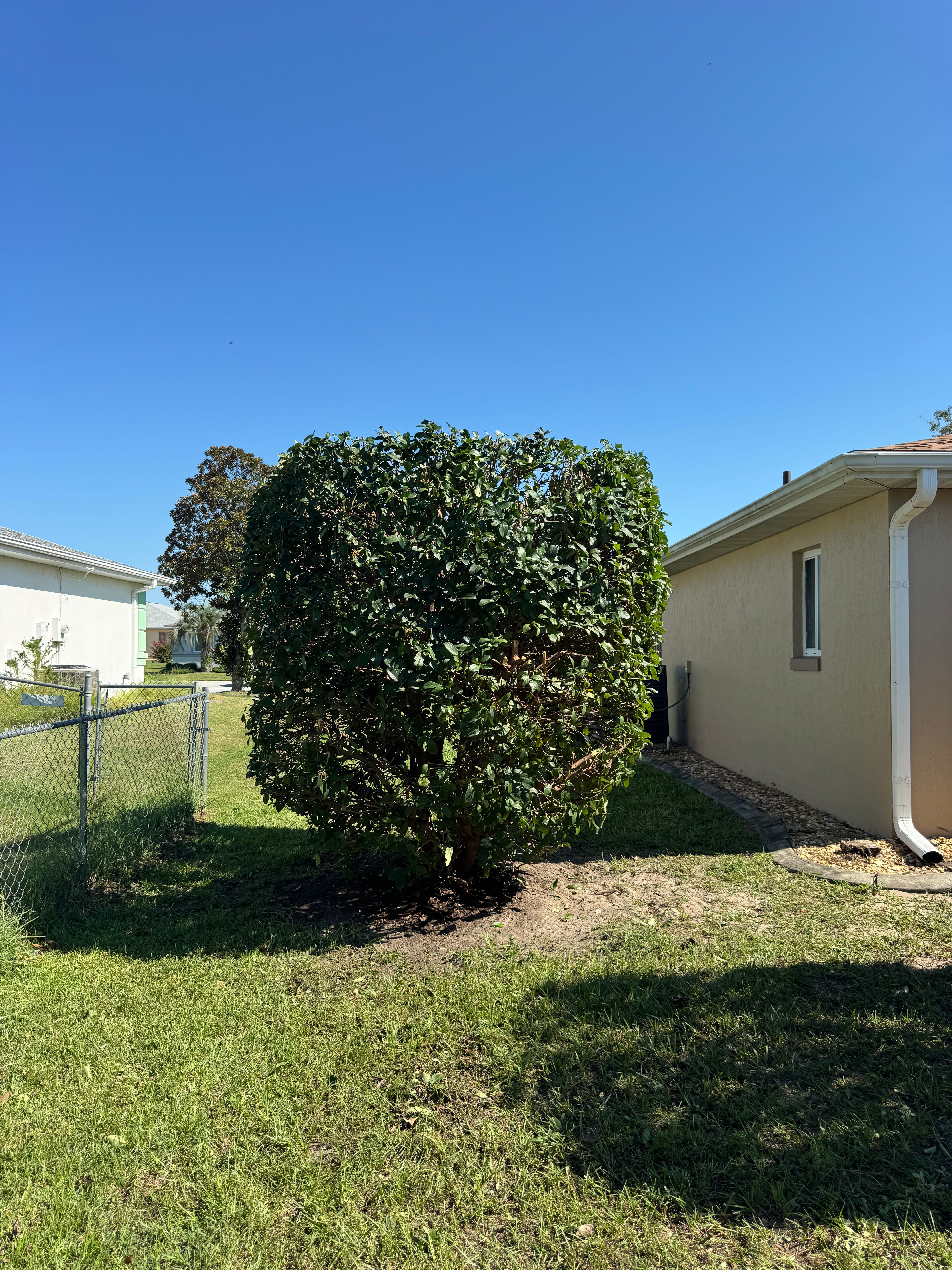 All Photos for Young's Lawn Services LLC in Ocala, FL