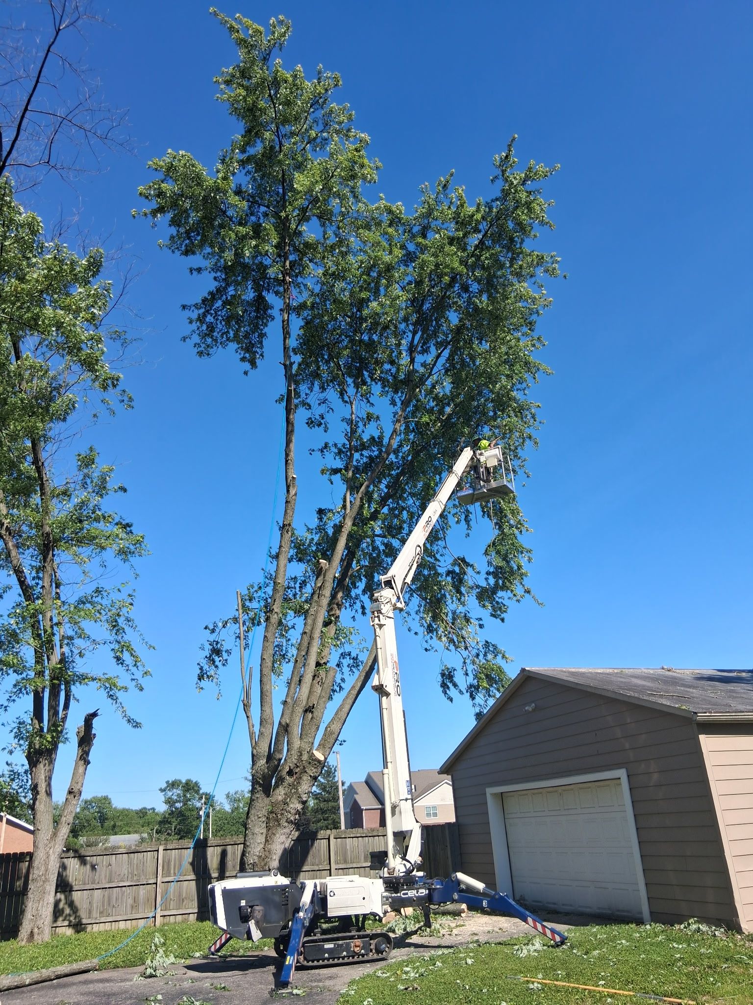 All Photos for Pro Tree Trim & Removal, Llc in Dayton, OH