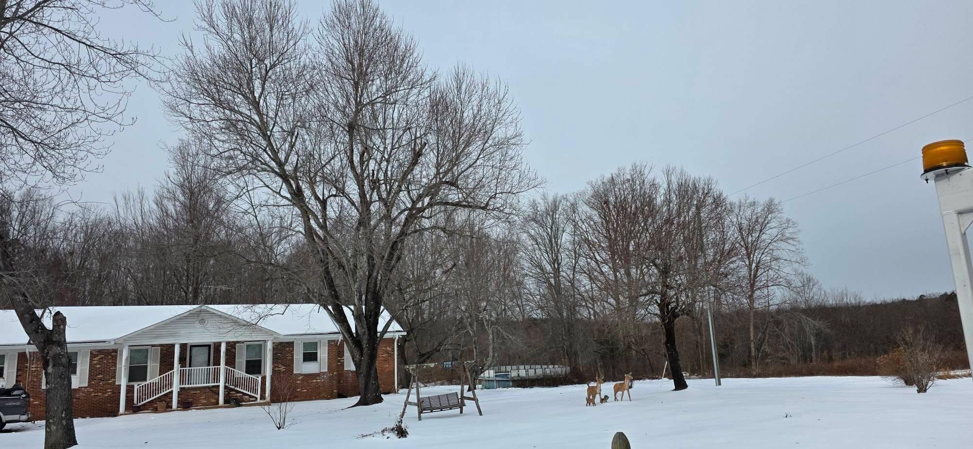  for Hamlett Tree Service LLC in Clover, VA