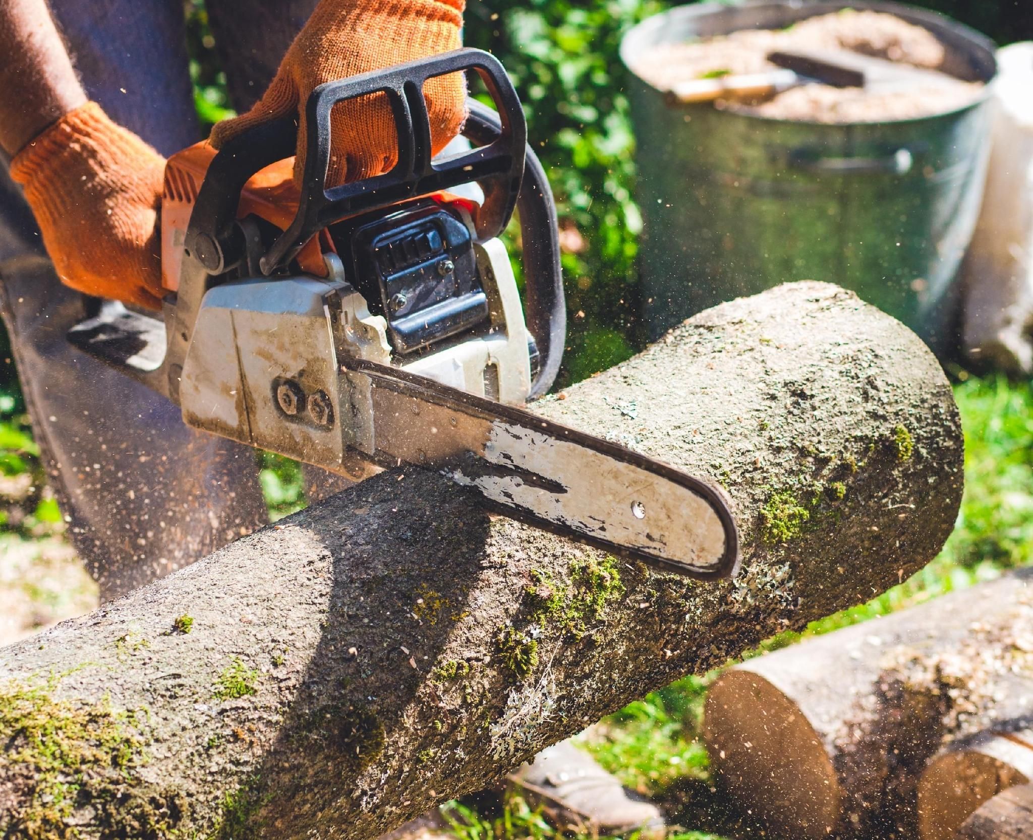  for Tree-B-Gone in Appleton, WI