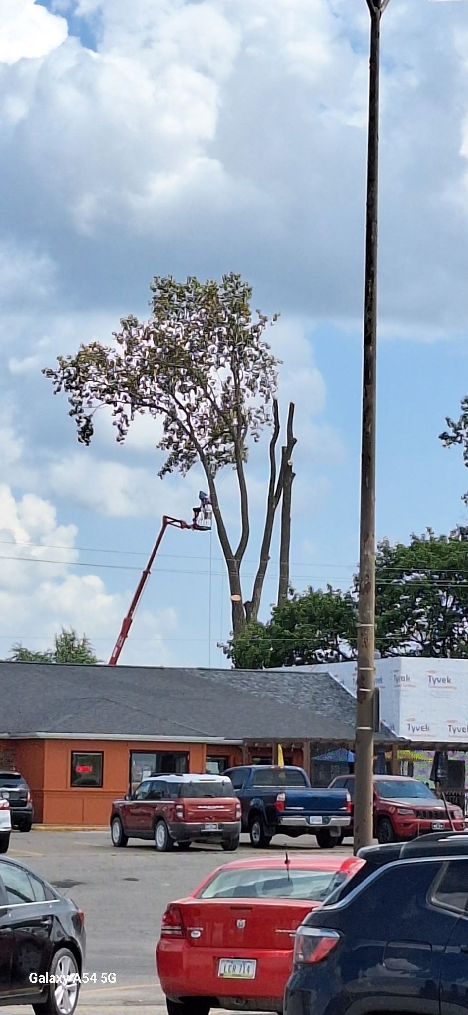  for Lawn Ranger Yard And Tree Service LLC in Ottumwa, IA