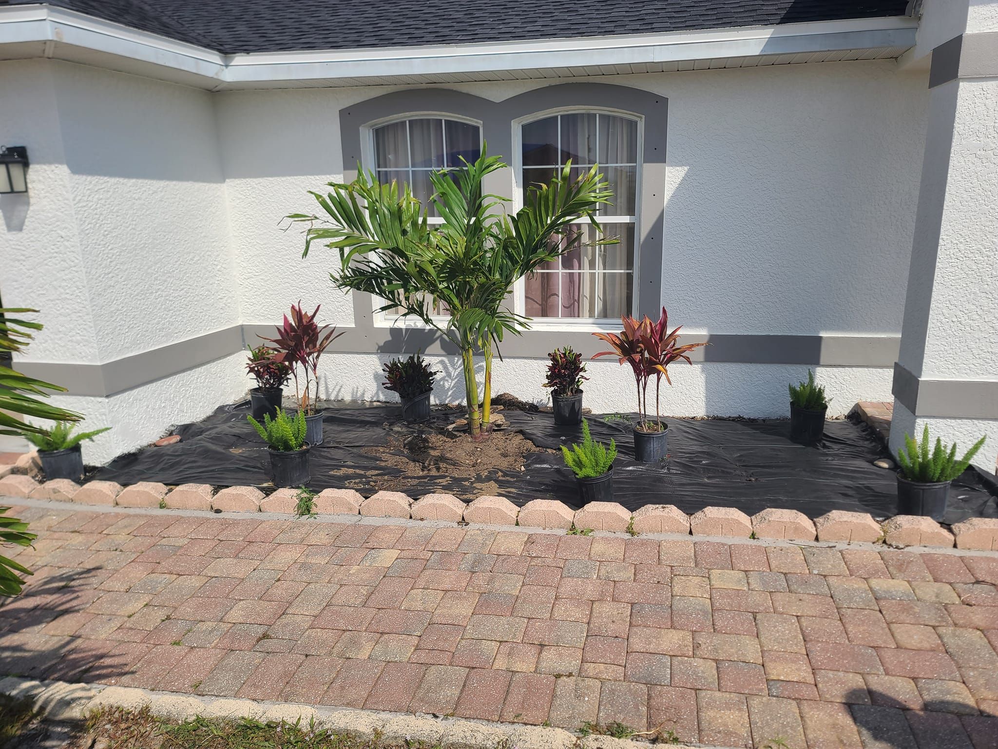  for Advanced Landscaping Solutions LLC in Fort Myers, FL