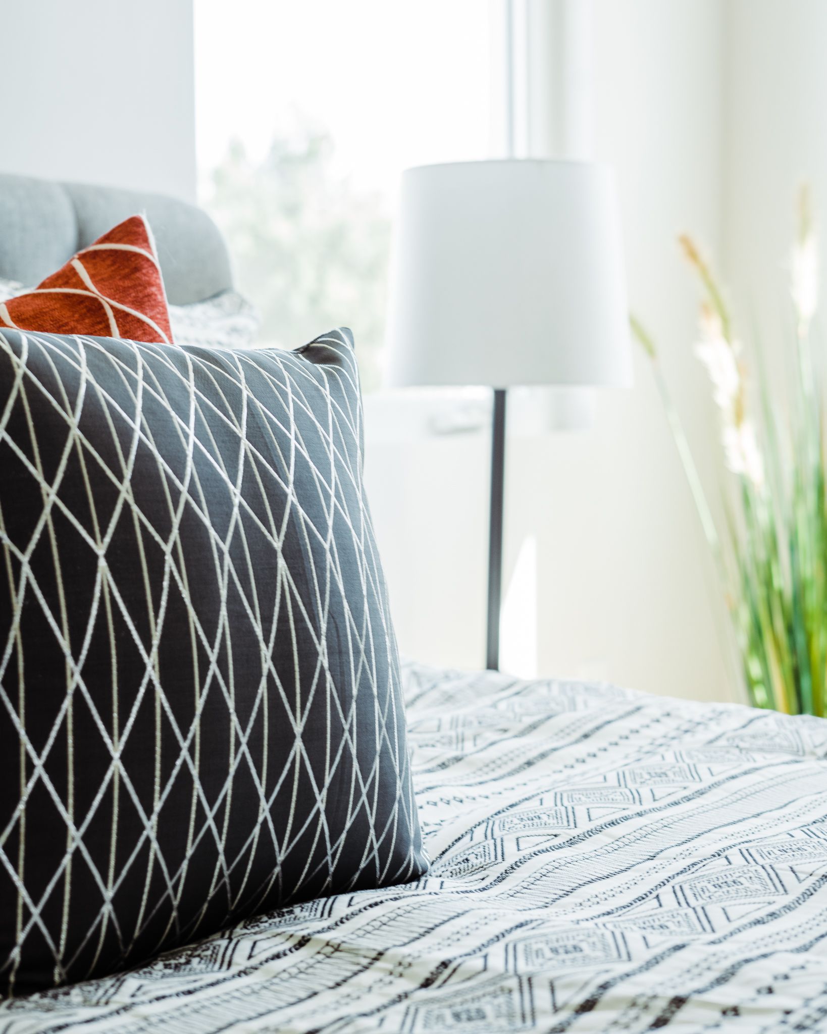  for Radiant Homes LLC in Fort Collins, CO