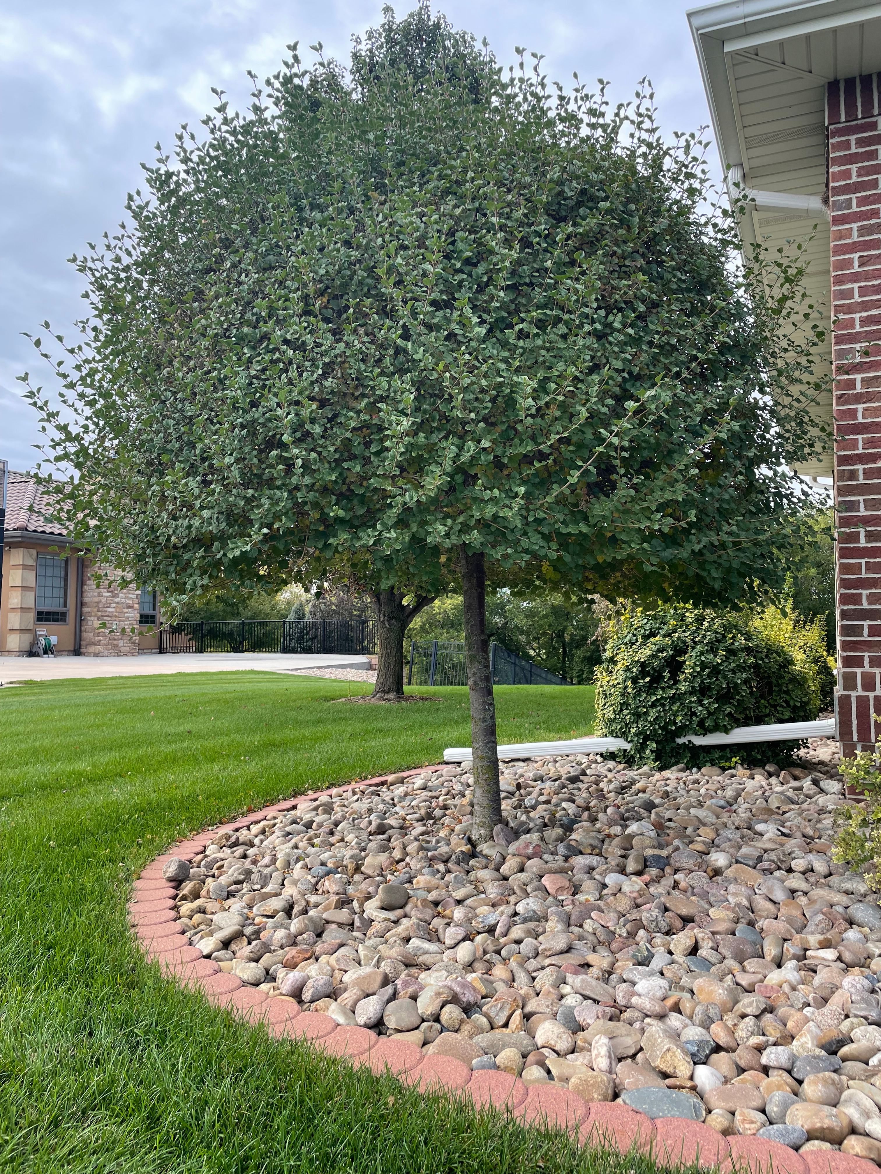  for Jacks Lawn & Landscape LLC  in Hastings, NE