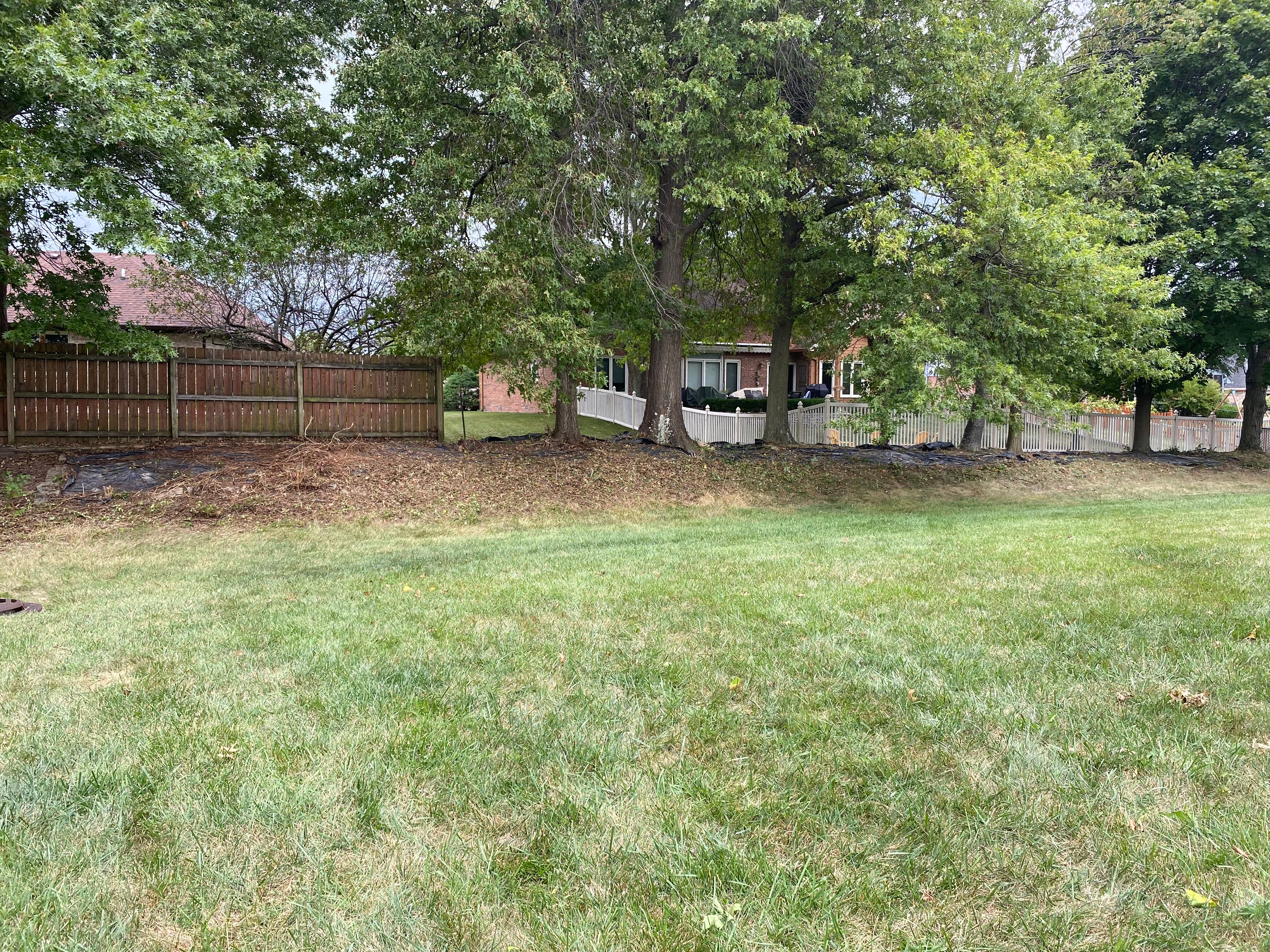 All Photos for Bearforce Lawn Care LLC in Greenfield, IN