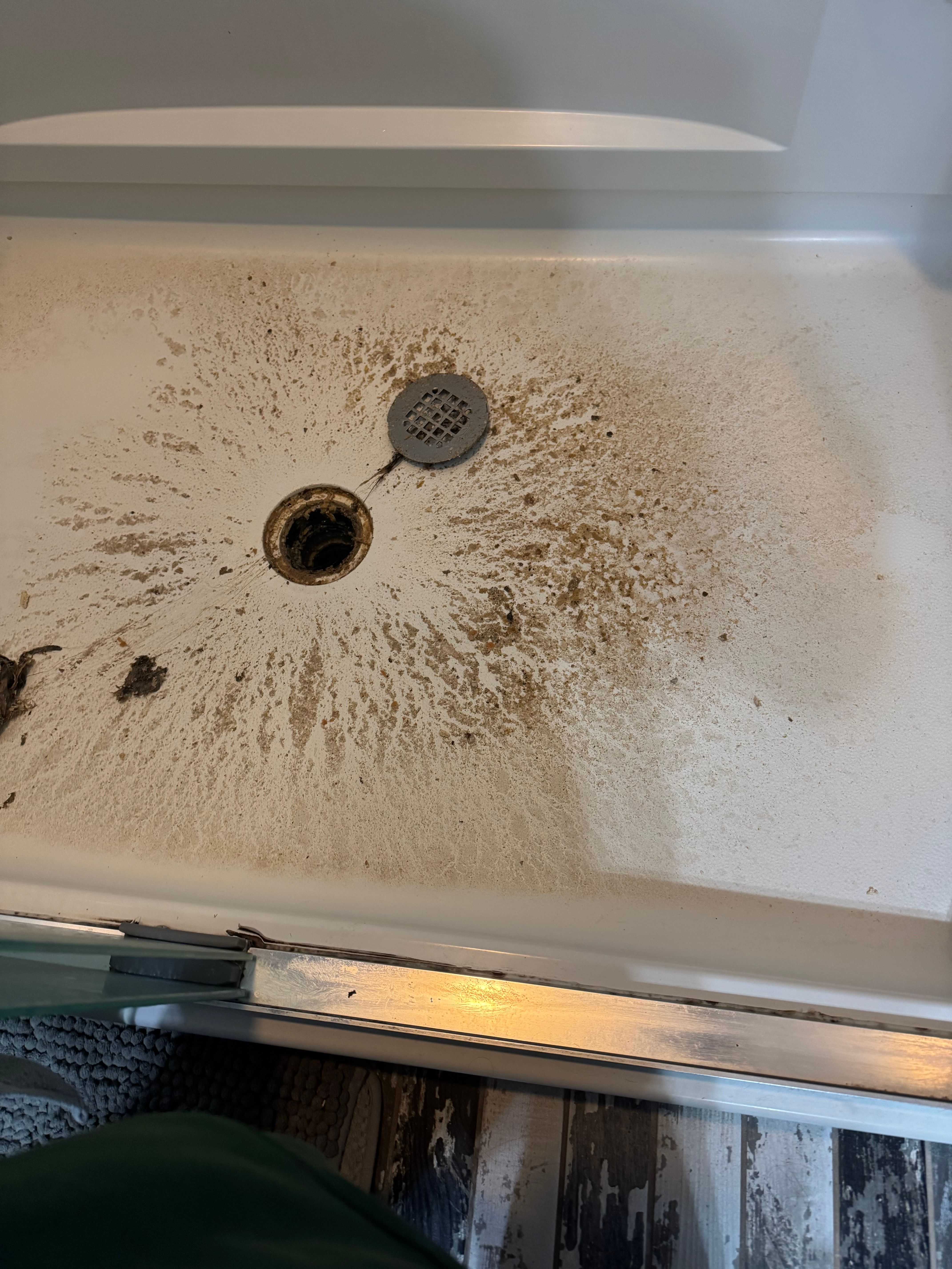  for Jersey Drain Masters in Williamstown, NJ