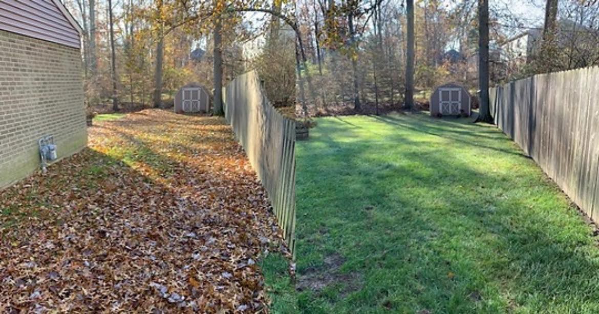  for Lawn Rescue in Texarkana, TX