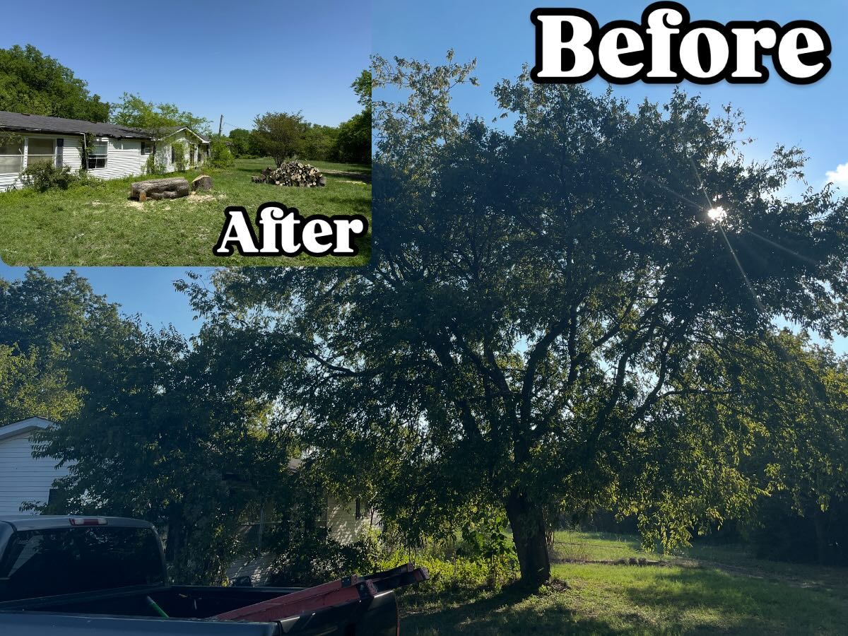 Tree Removal for Blu-J Tree Care in Arlington, TX