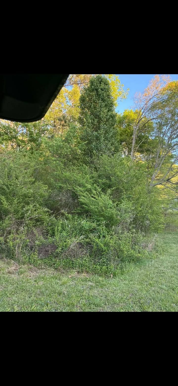  for Big C Land Management in Anniston, AL