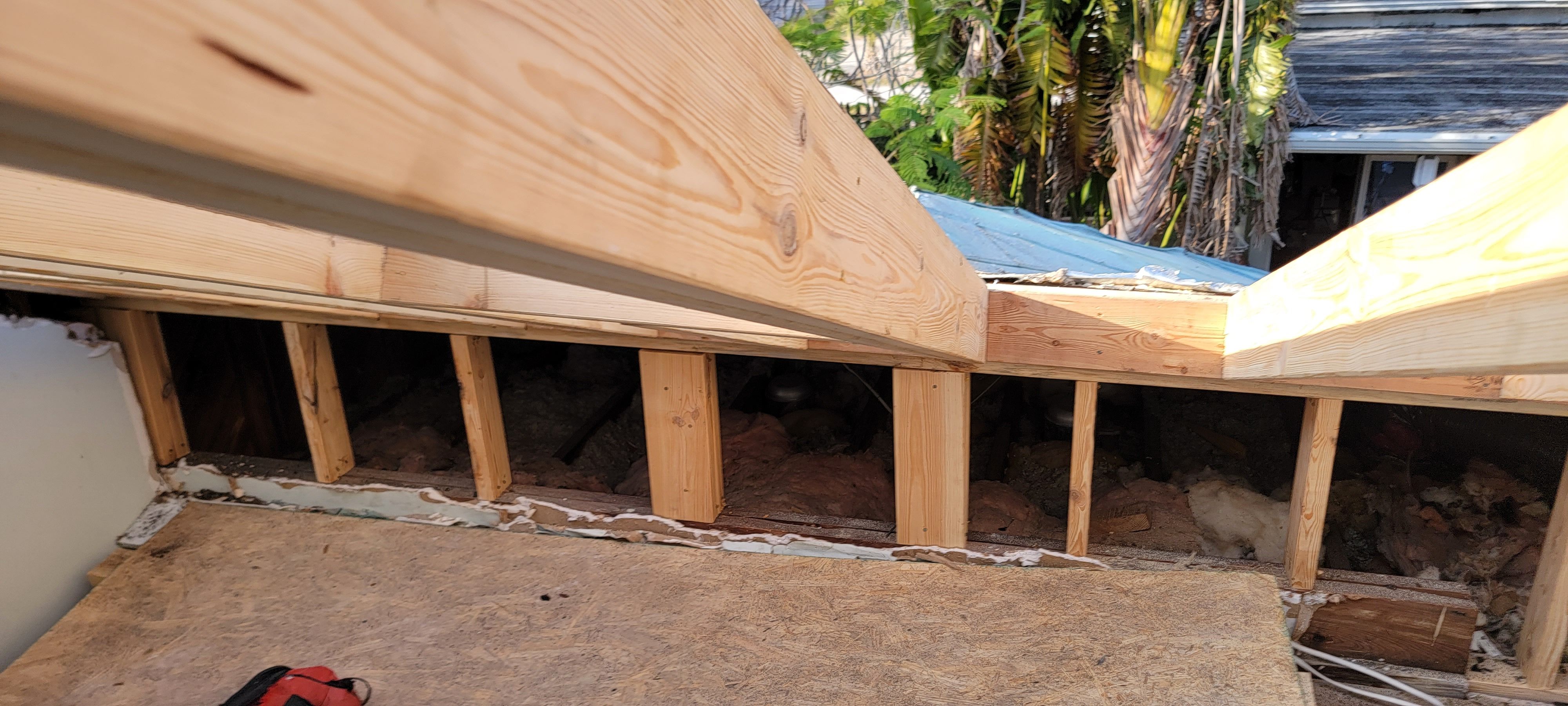  for Millenium Construction & Property Management in Tampa, FL