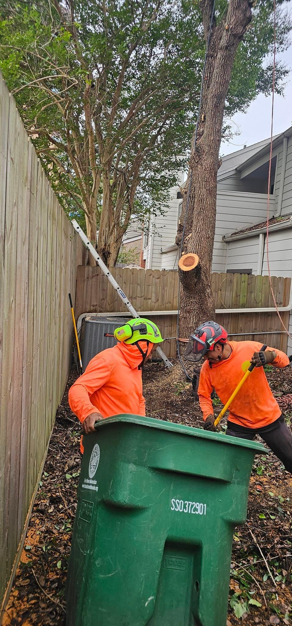  for Servin's Tree Care  in Houston, TX