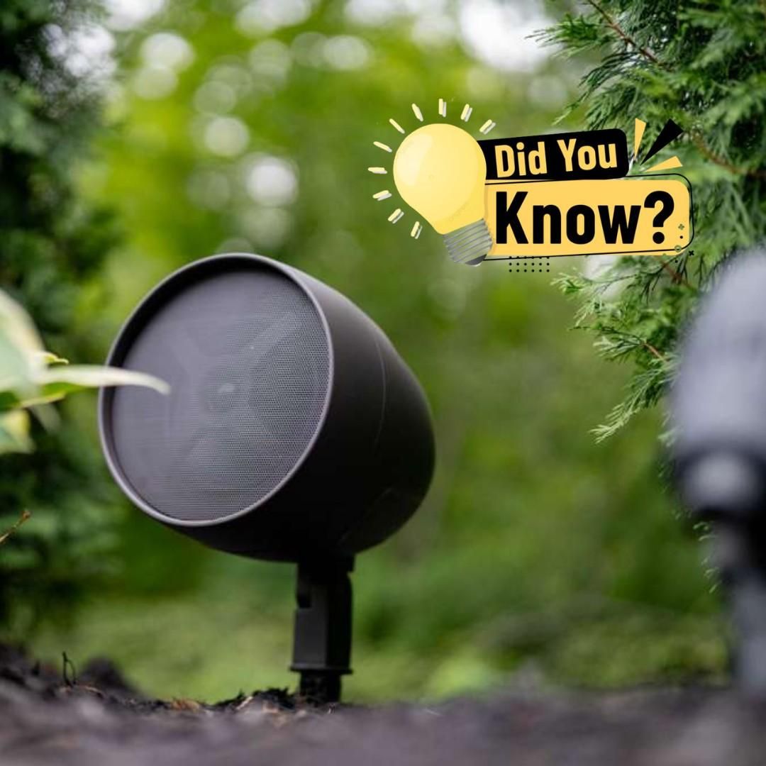  for Unique Outdoor Lighting in Short Hills, NJ