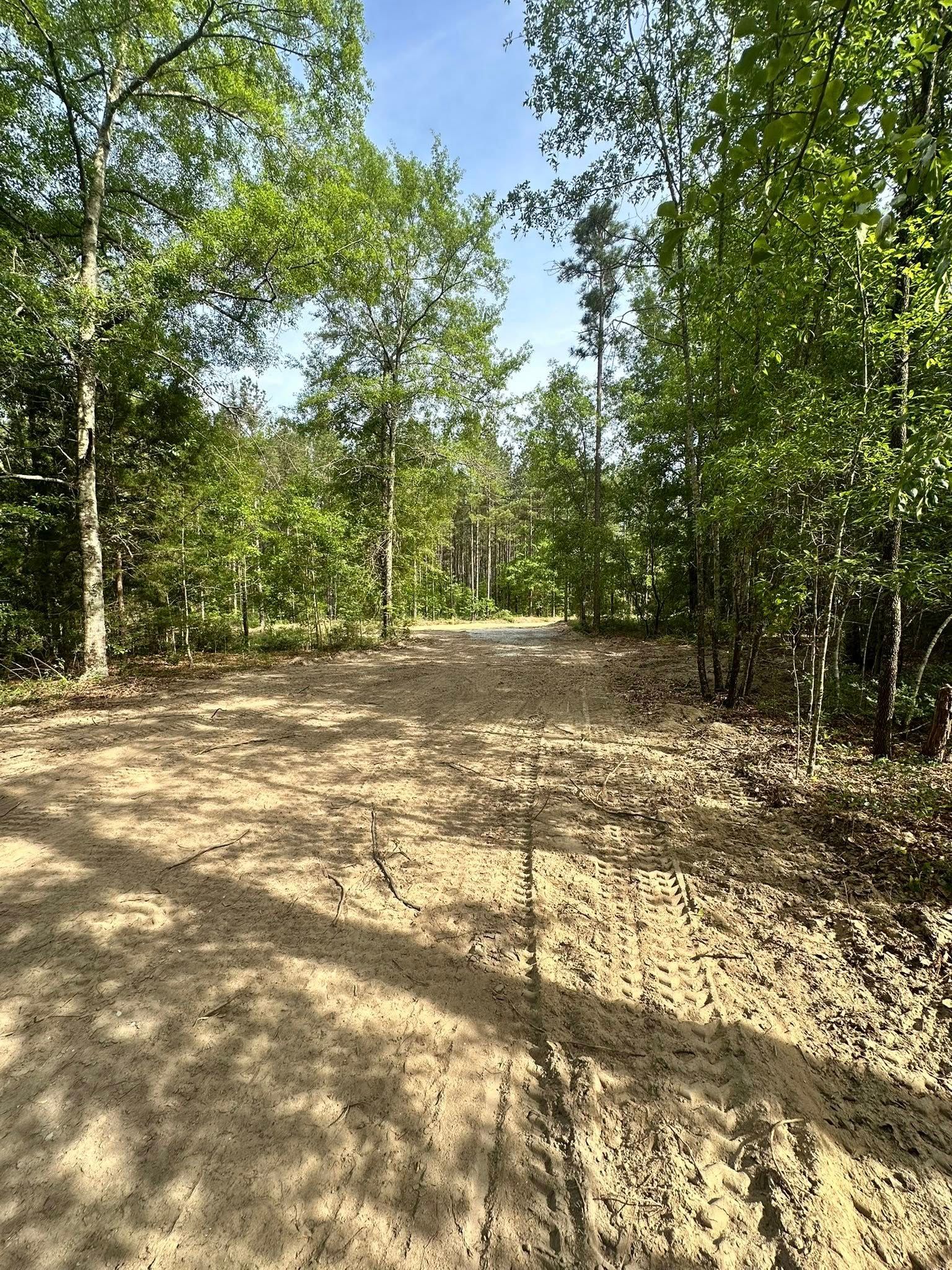 Tree Removal for Page Outdoor Services in Wrightsville, GA