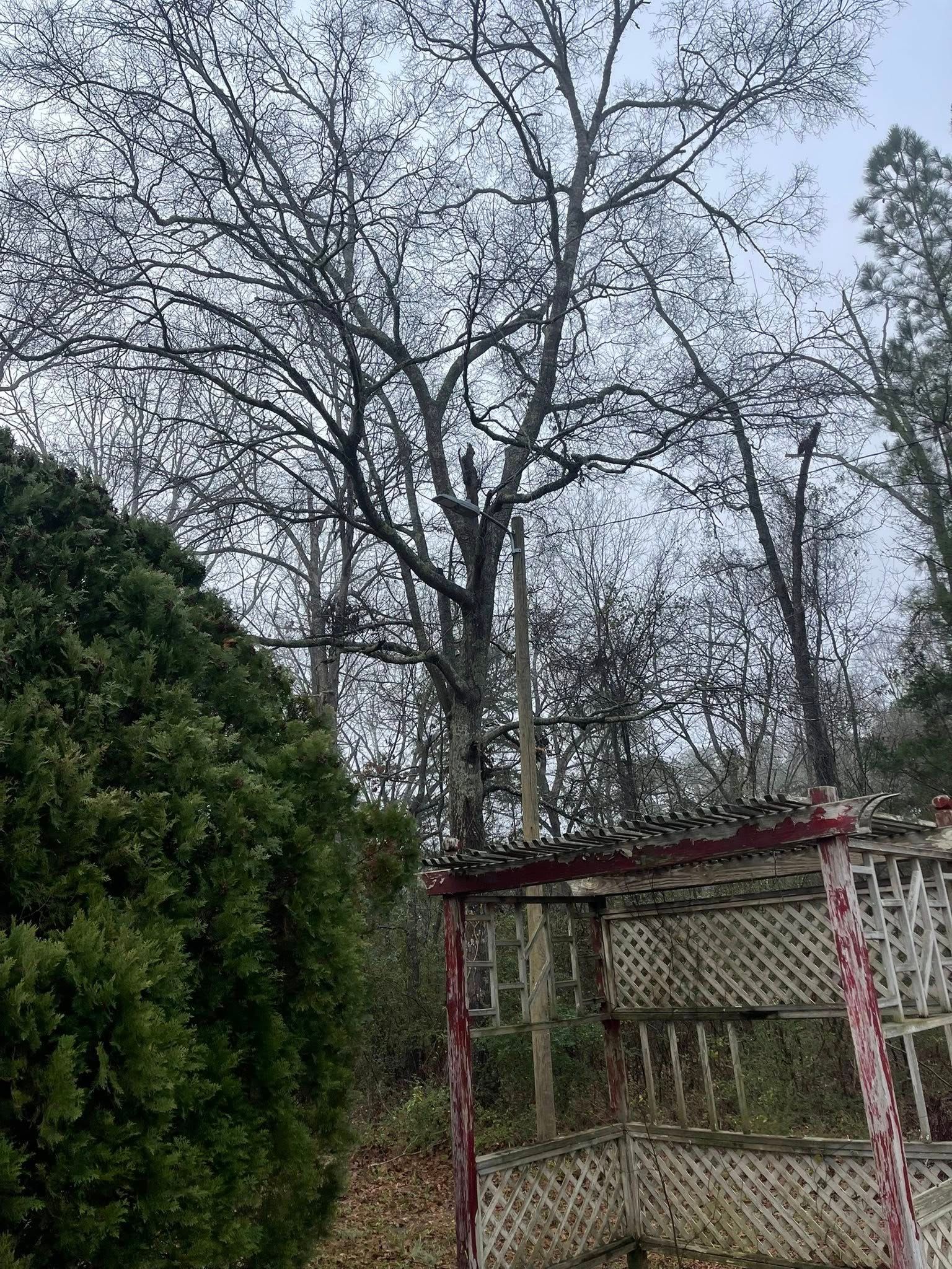  for K-2 Tree Service in Shelby, NC