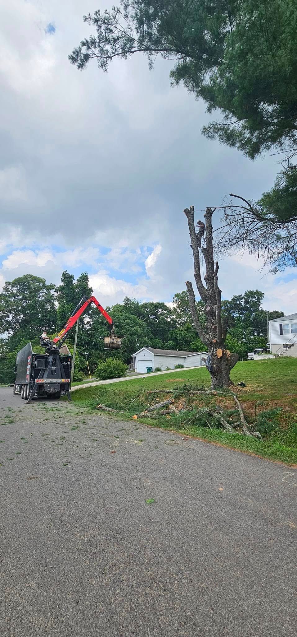  for Reagan & Sons Tree Service in Dandridge, TN