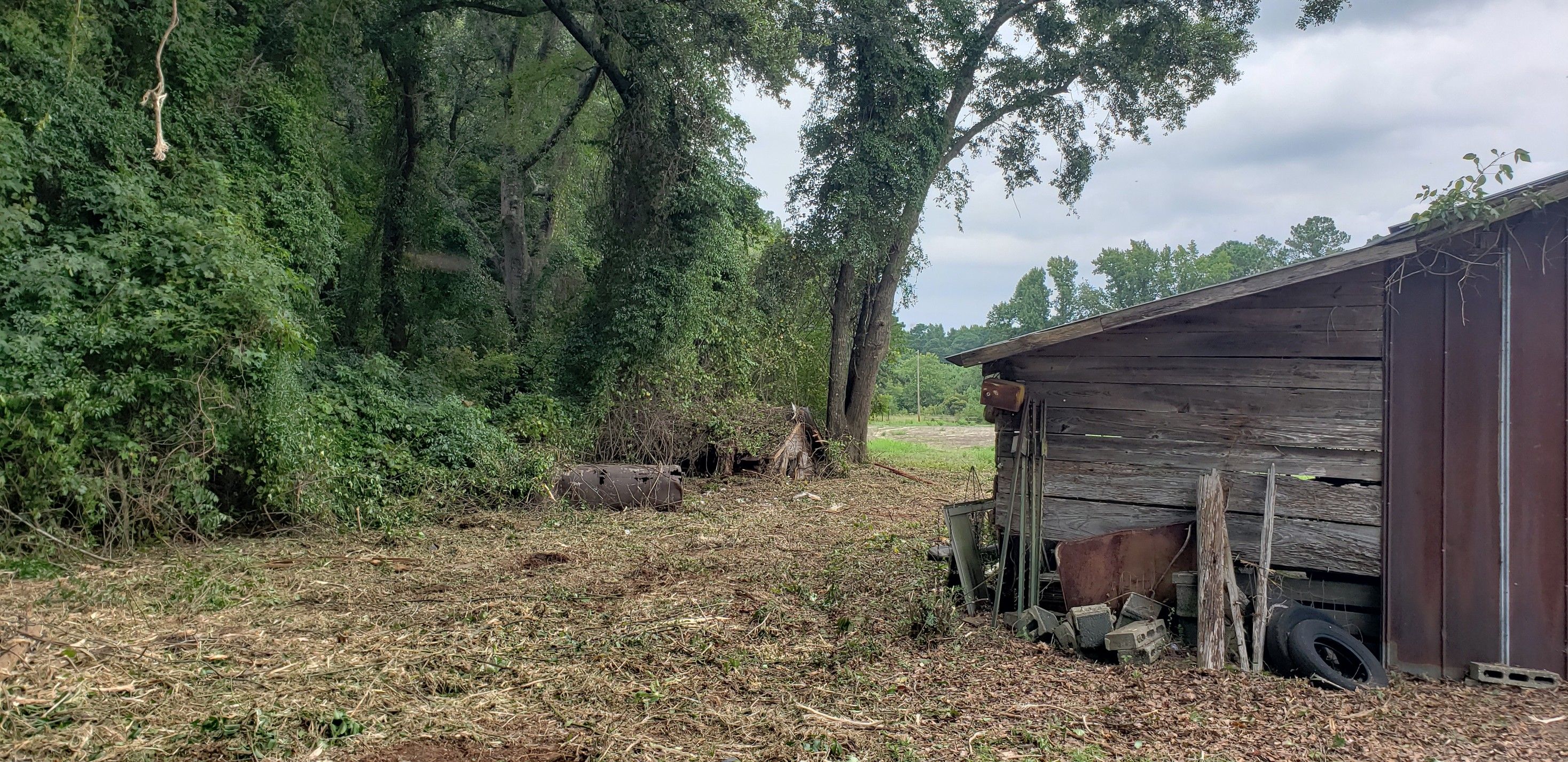 All Photos for TJ Farm and Land Management in Loris, SC