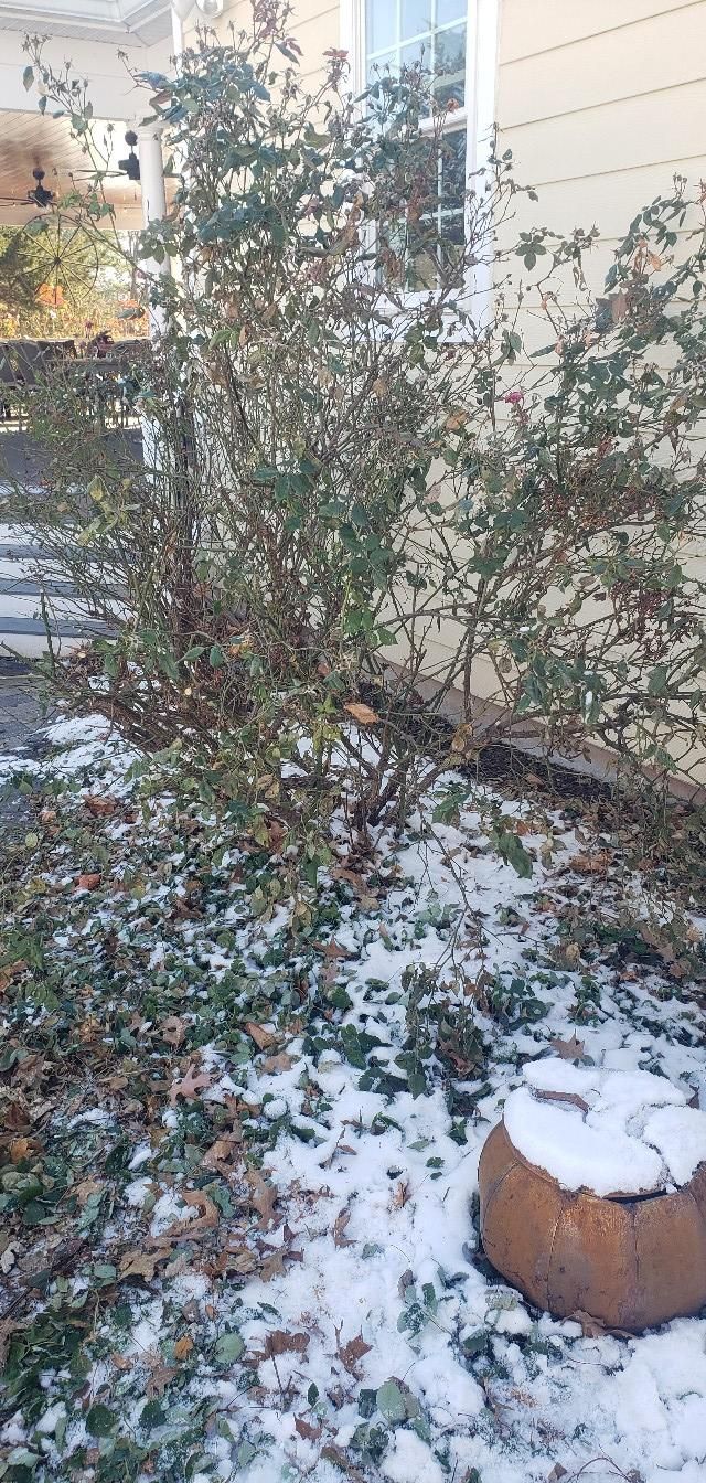 All Photos for Clean Cut Lawns & Landscaping in Dickerson, MD