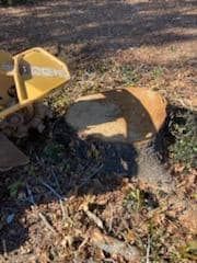  for Reliable Stump Grinding in Frankston, TX
