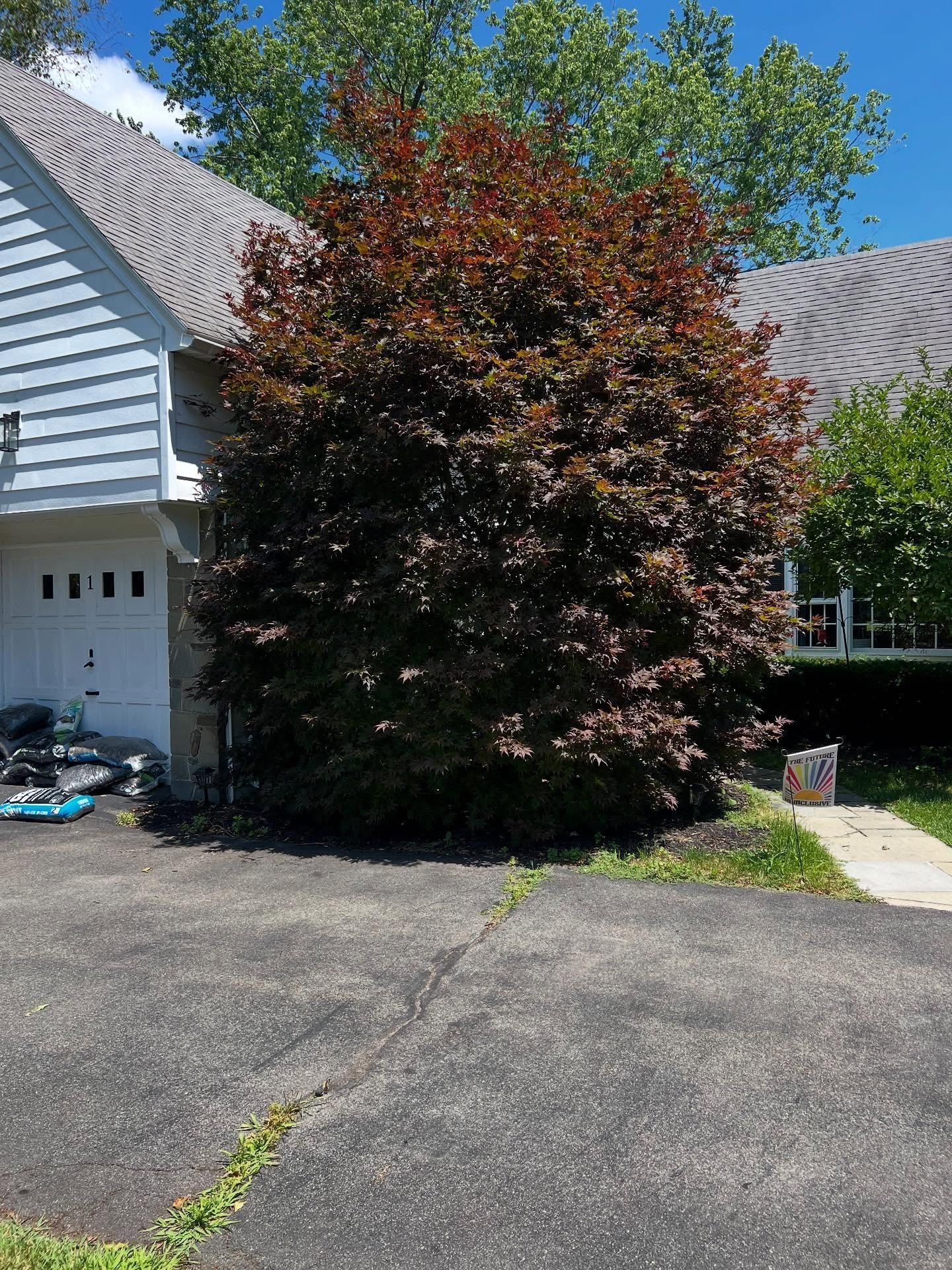  for Bumblebee Lawn Care LLC in Albany, New York