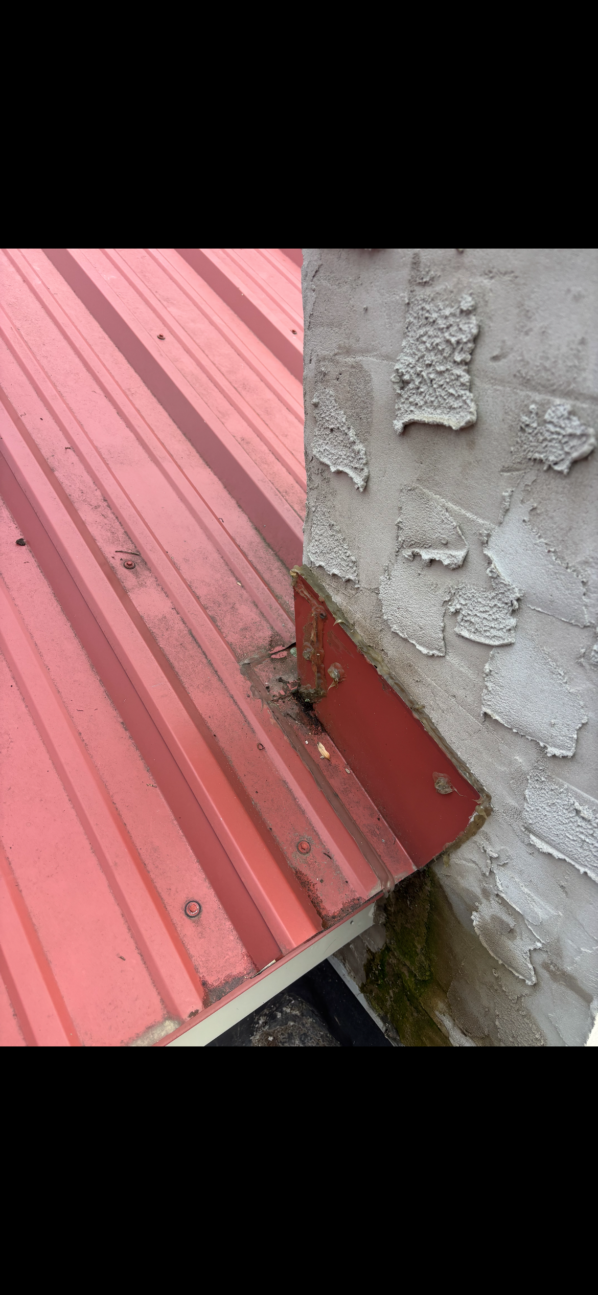  for Todd L. Snyder Construction Services in New Ringgold, PA