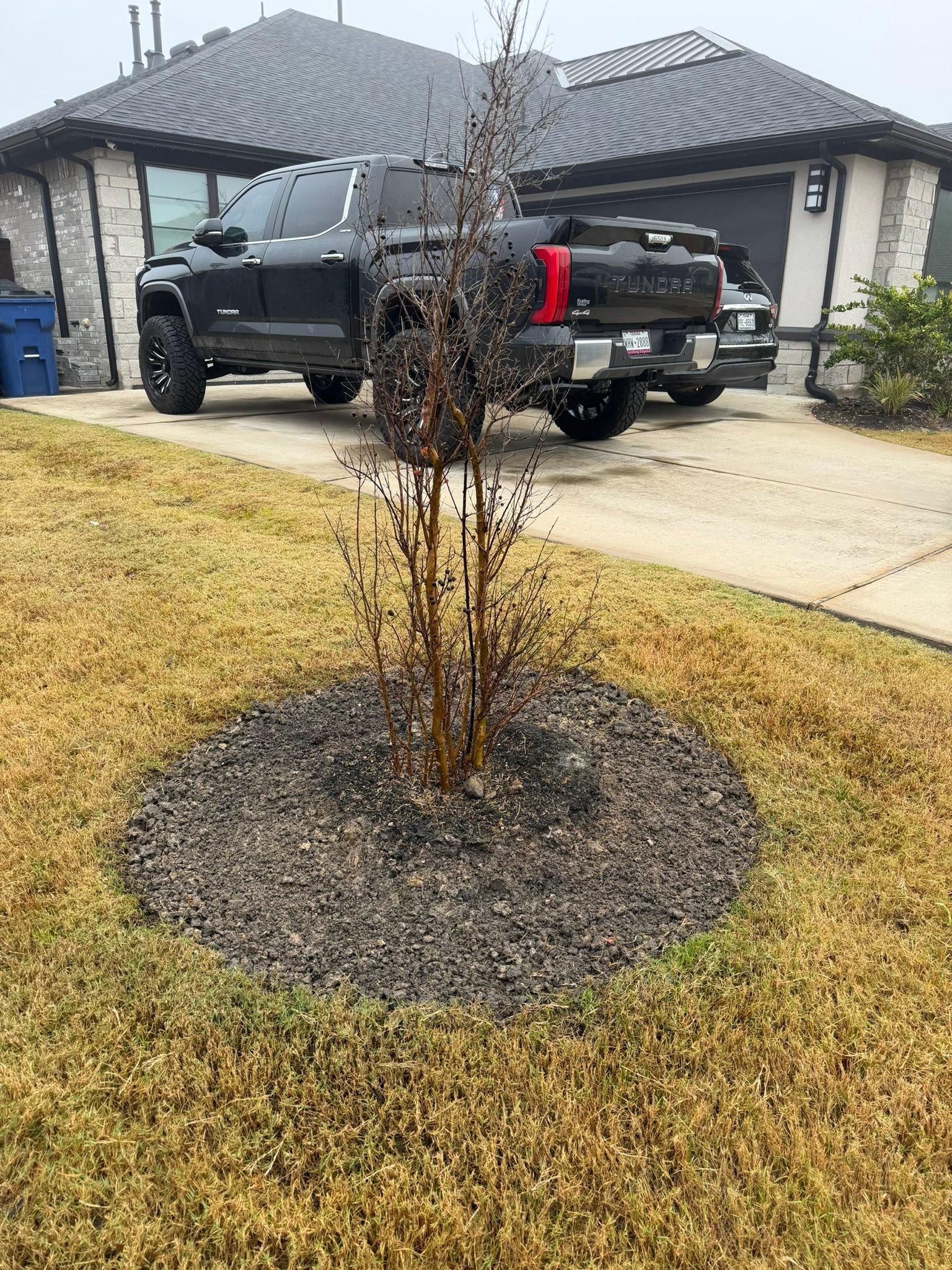  for Texas Curb N Borders in Houston, TX