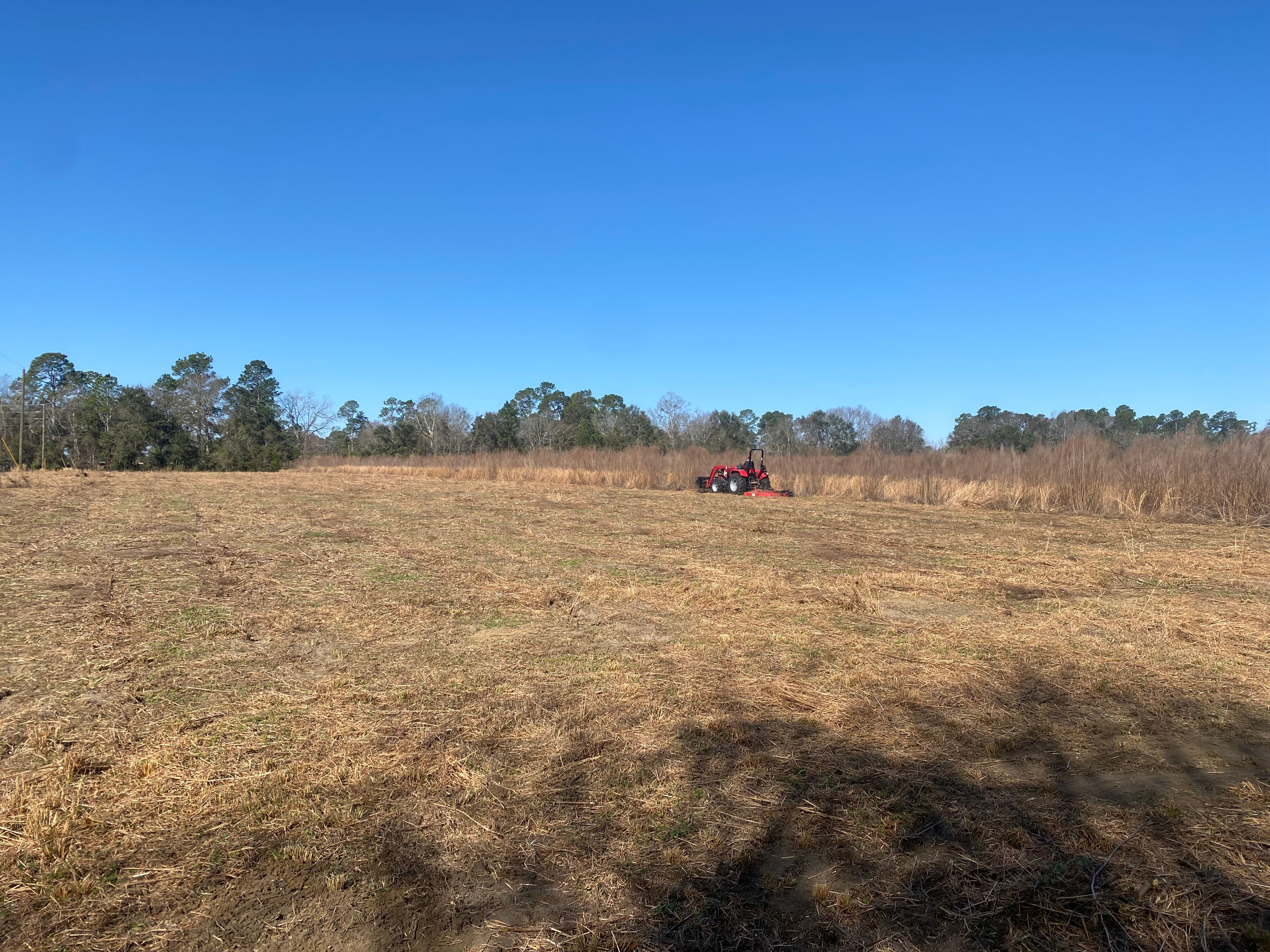  for T&S Land Management Services in Effingham County, GA