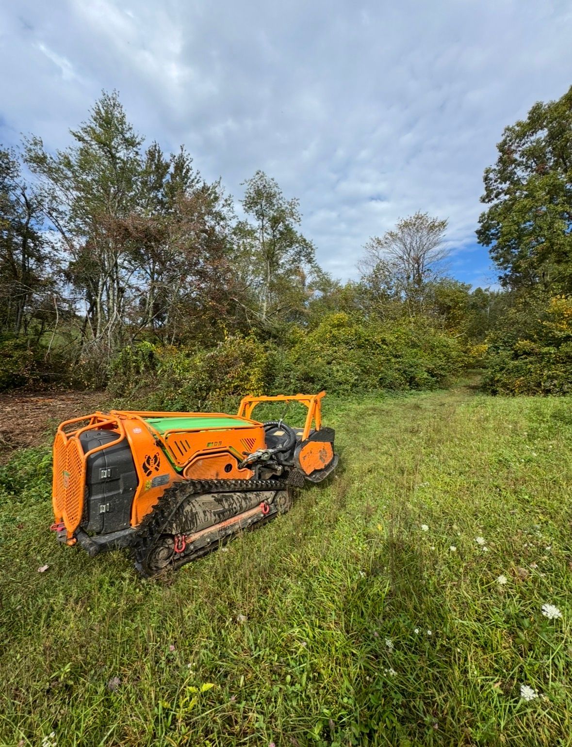  for Mountain Goat Land Management in Galax, VA