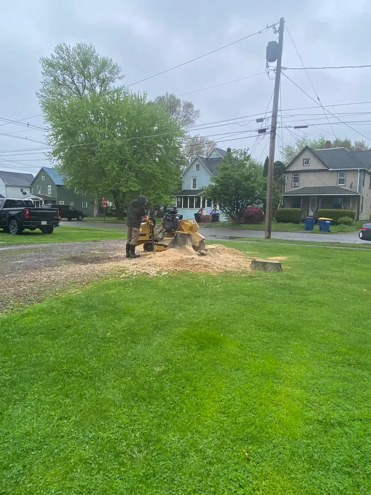 Stump grinding  for Licensed to Cut Tree Service in Athens, PA